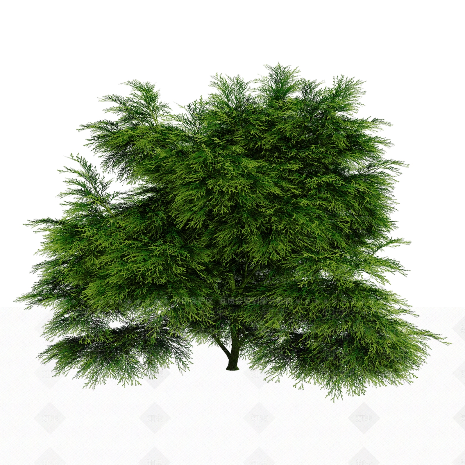 现代景观树灌木3D模型下载【ID:1186890975】