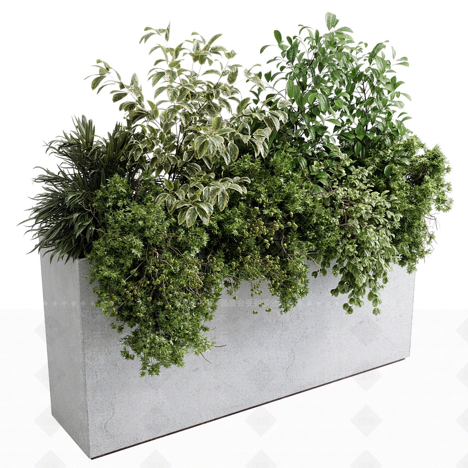 盆栽3D模型下载【ID:1186962228】