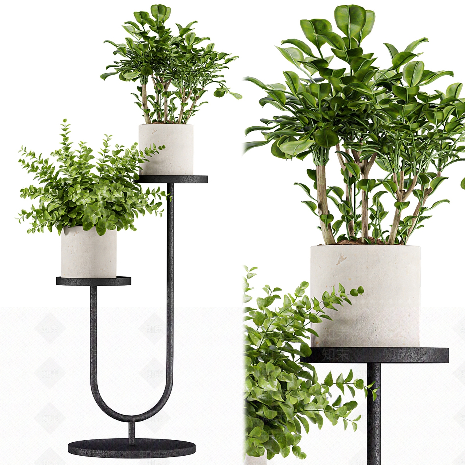 盆栽3D模型下载【ID:1186982155】