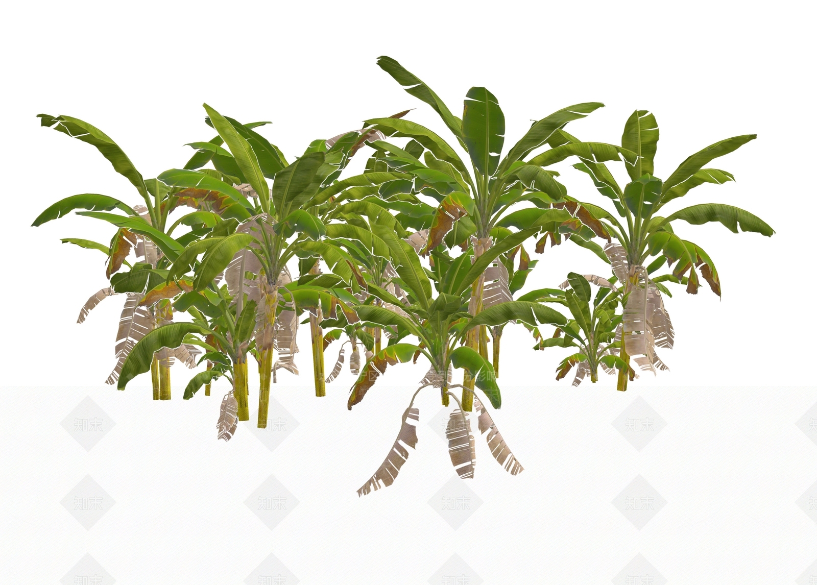 乔木SU模型下载【ID:1186989661】