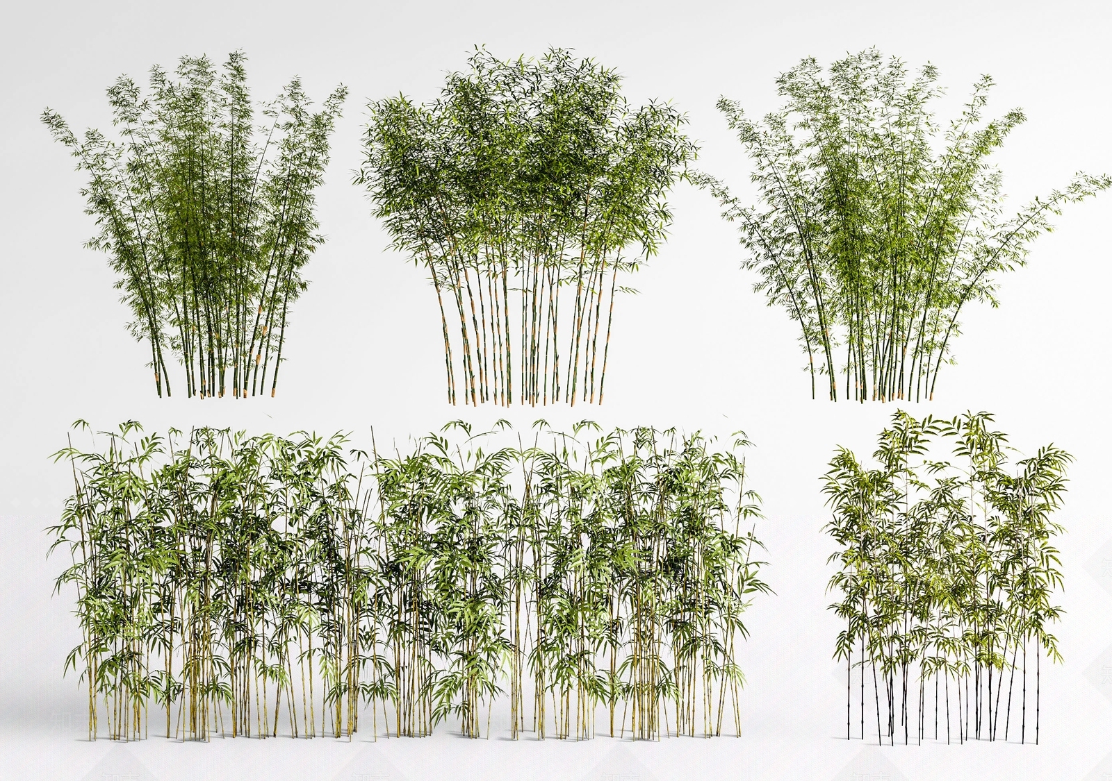 竹子3D模型下载【ID:1187030727】