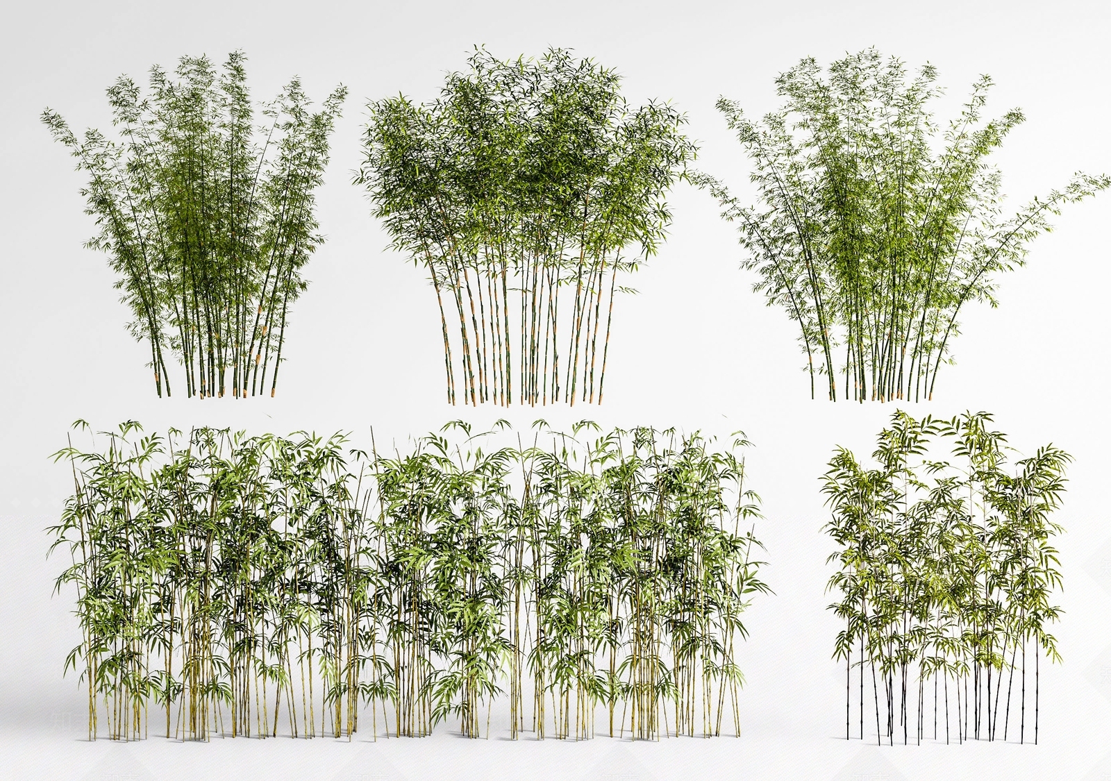 竹子SU模型下载【ID:1187030850】