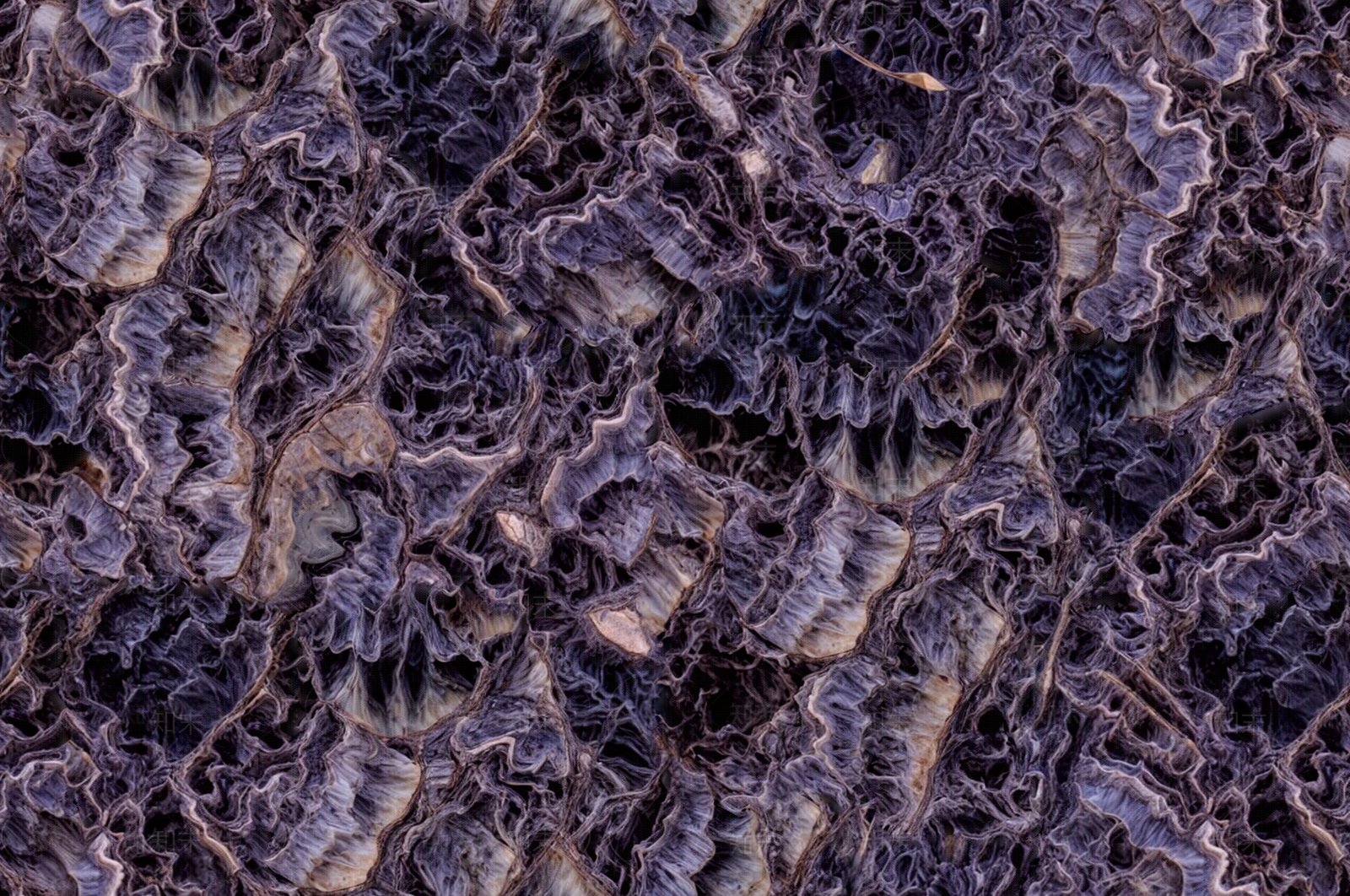 法式复古其他石材拼花贴图下载【ID:1187049275】