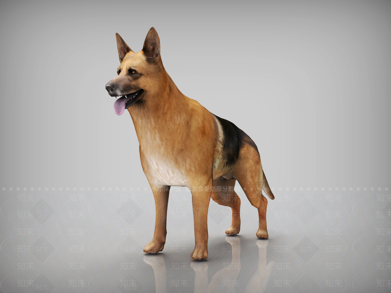 爬行类动物3D模型下载【ID:1187080642】