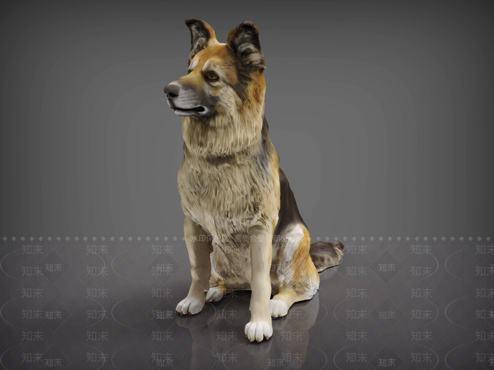 爬行类动物3D模型下载【ID:1187083561】