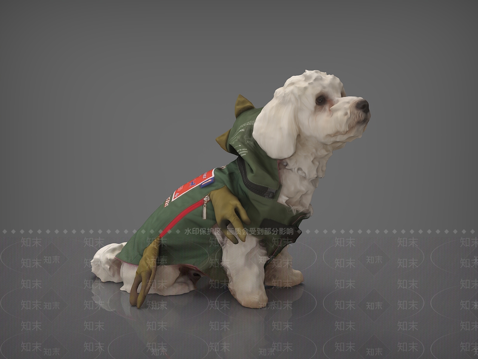 爬行类动物3D模型下载【ID:1187089859】