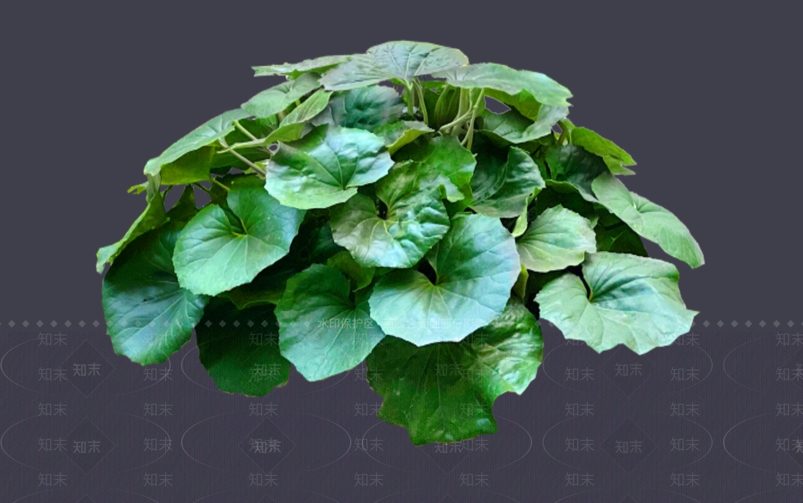 花草SU模型下载【ID:1187091894】