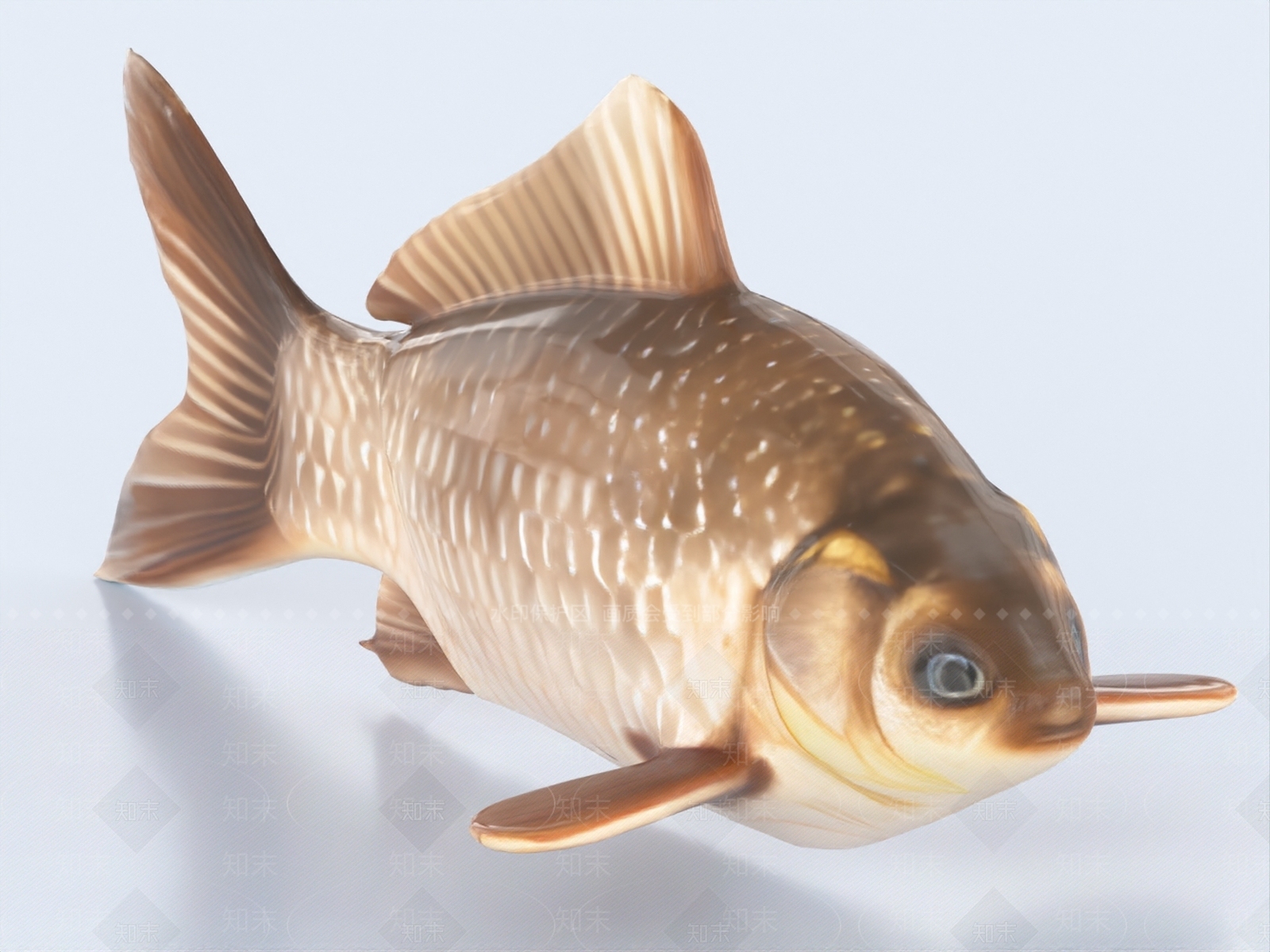水生类动物3D模型下载【ID:1187100602】