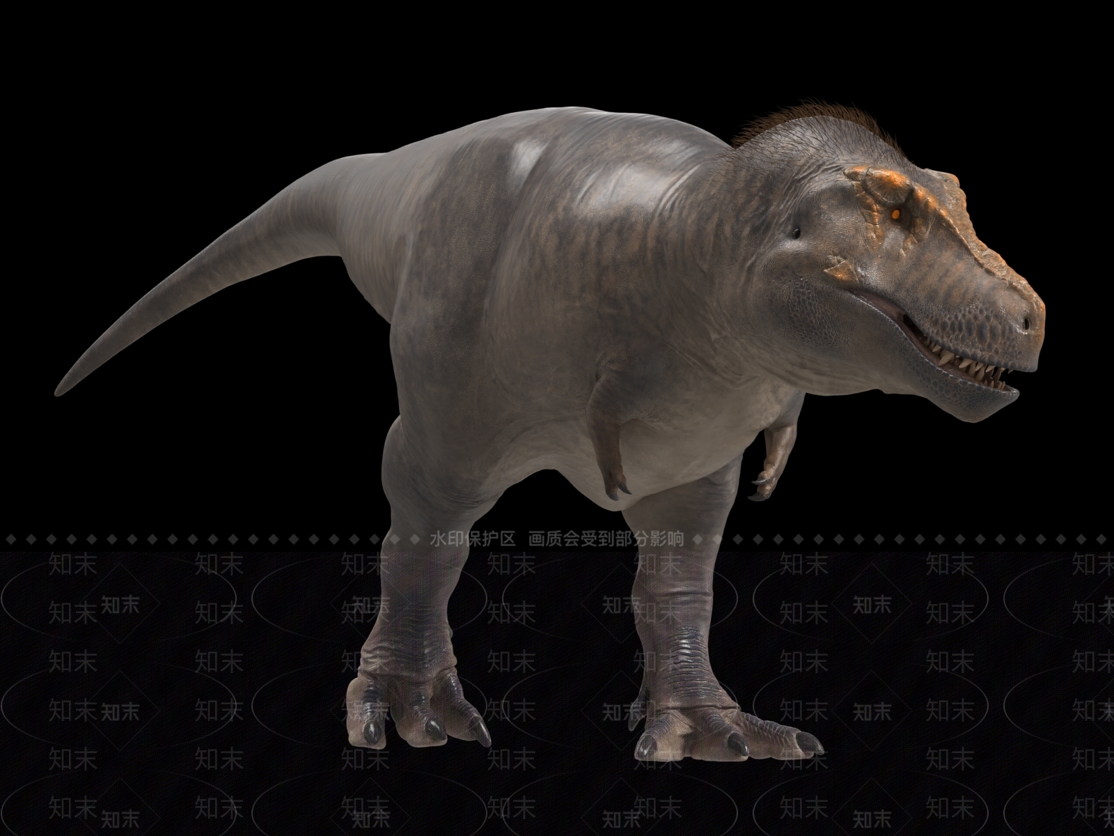 其他动物3D模型下载【ID:1187129073】