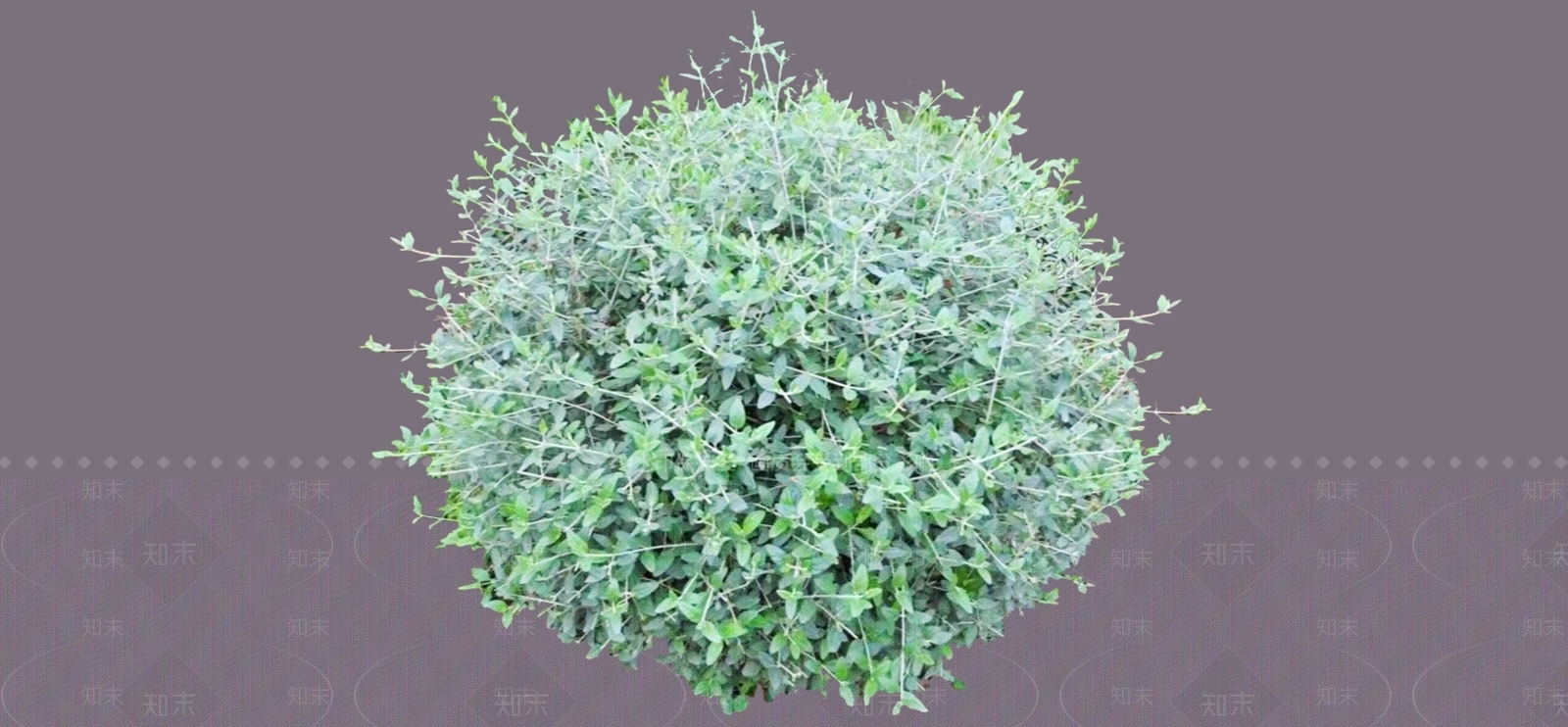 灌木SU模型下载【ID:1187140283】