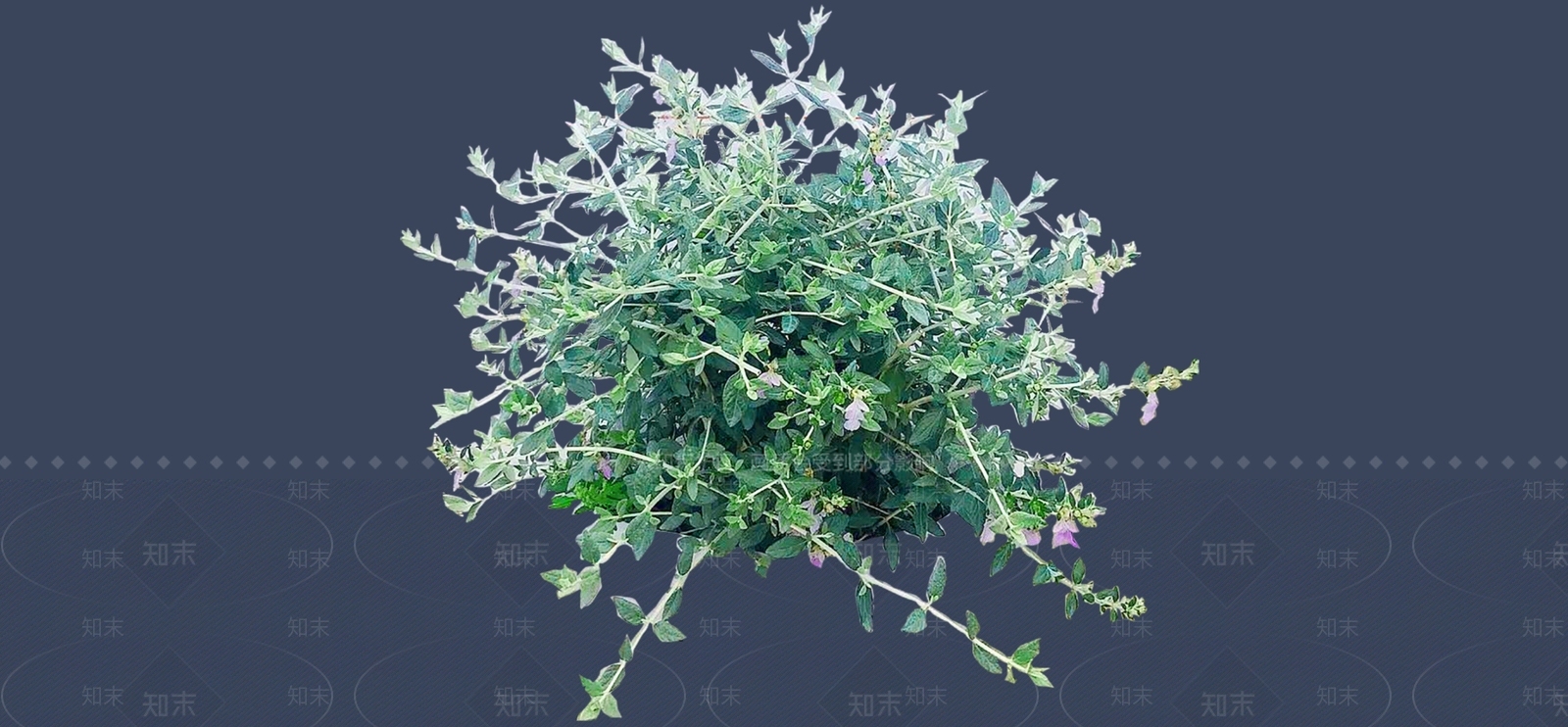 灌木SU模型下载【ID:1187140681】