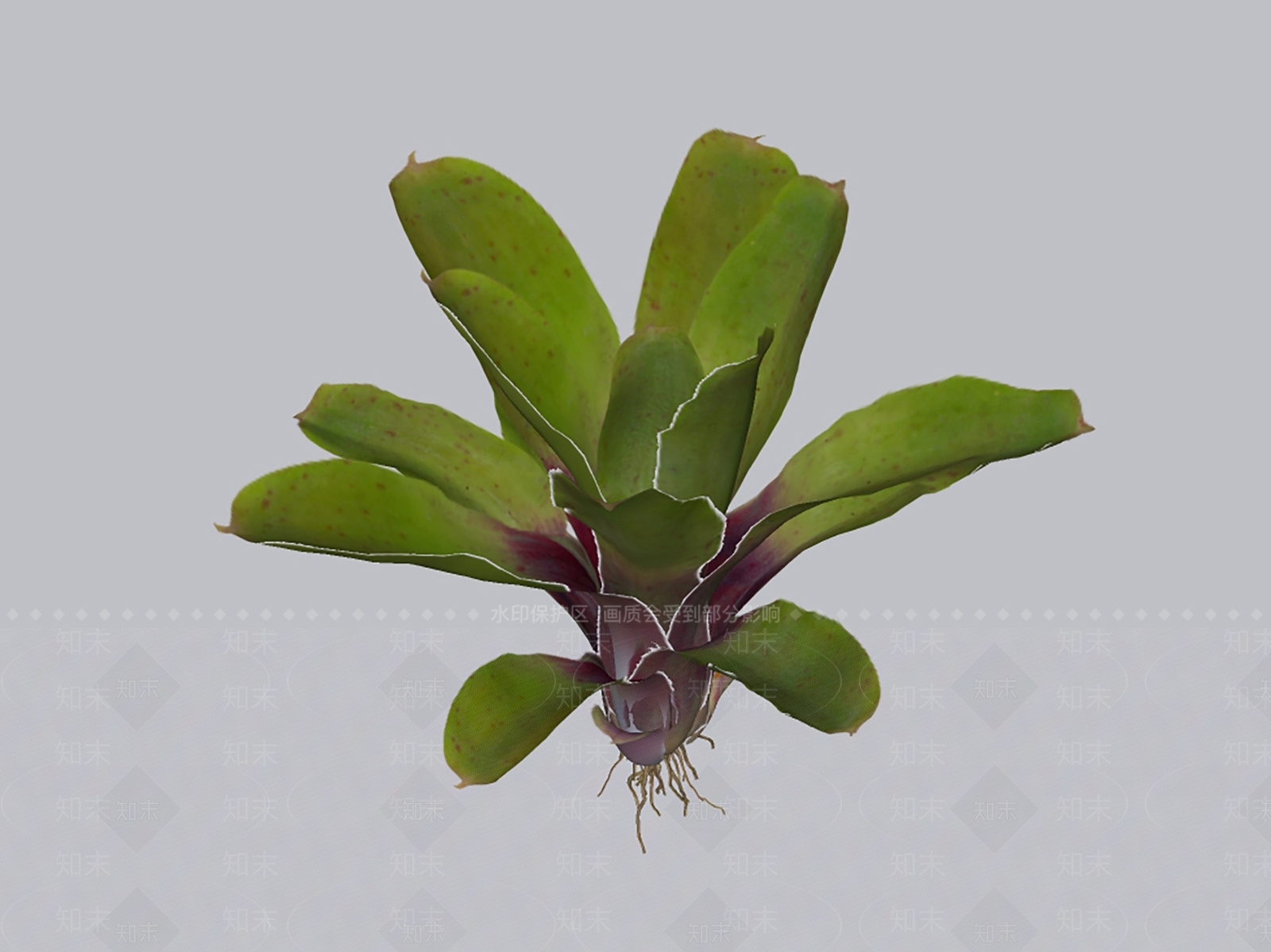 花草SU模型下载【ID:1187140974】