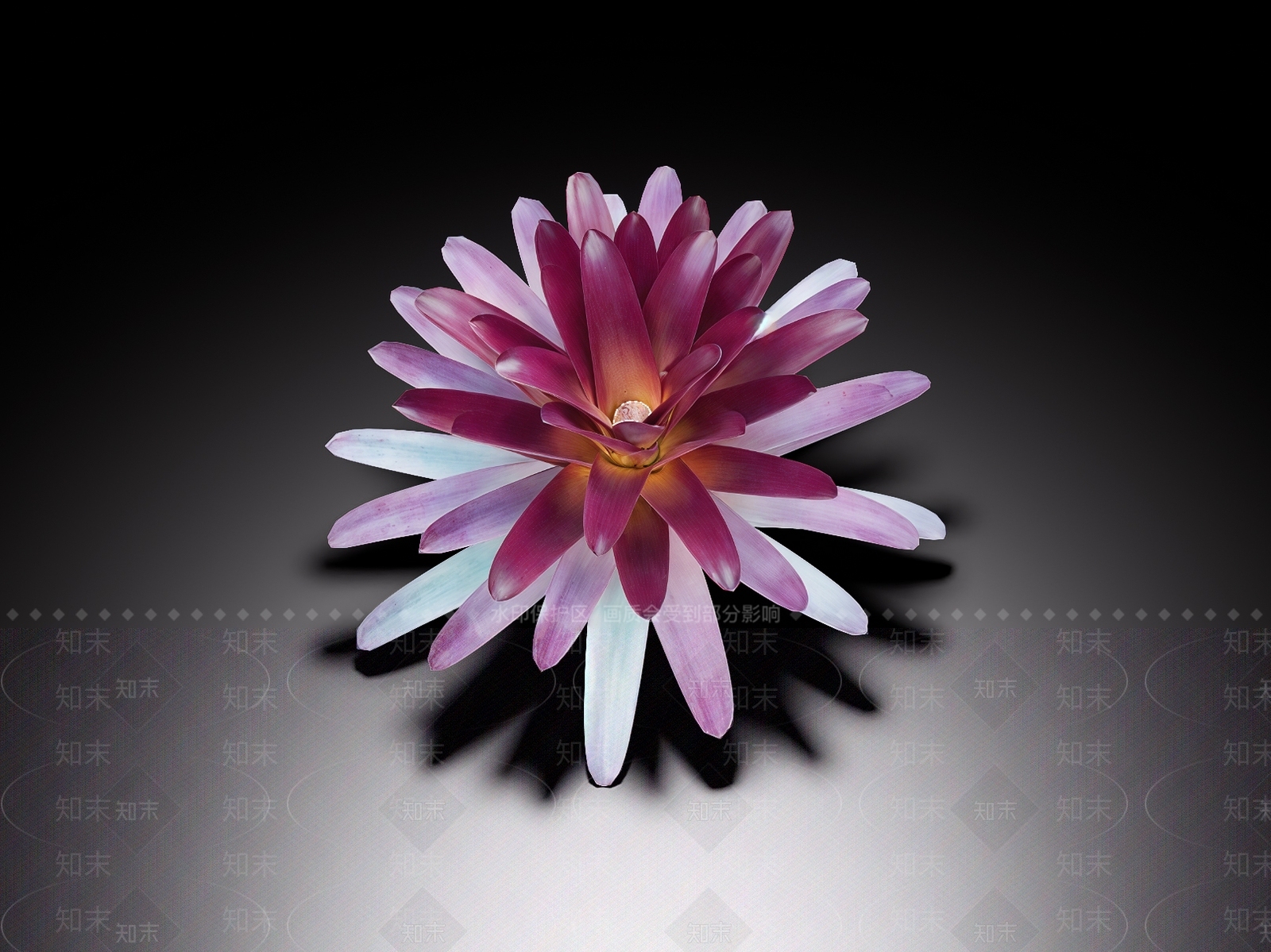 花草SU模型下载【ID:1187144326】