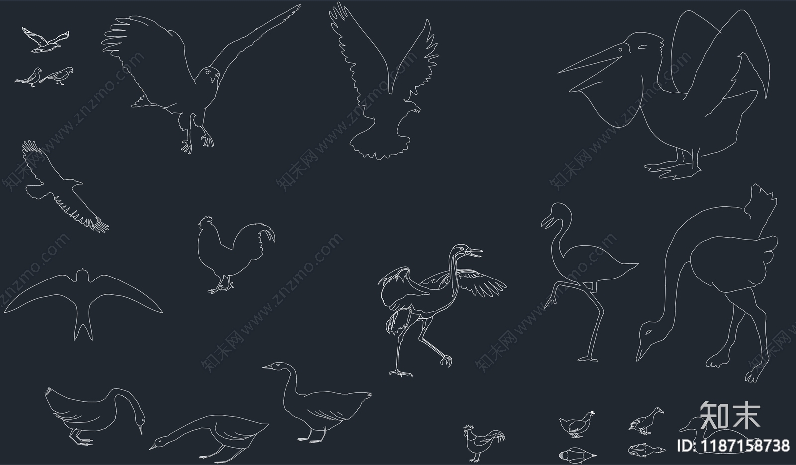 现代动物施工图下载【ID:1187158738】