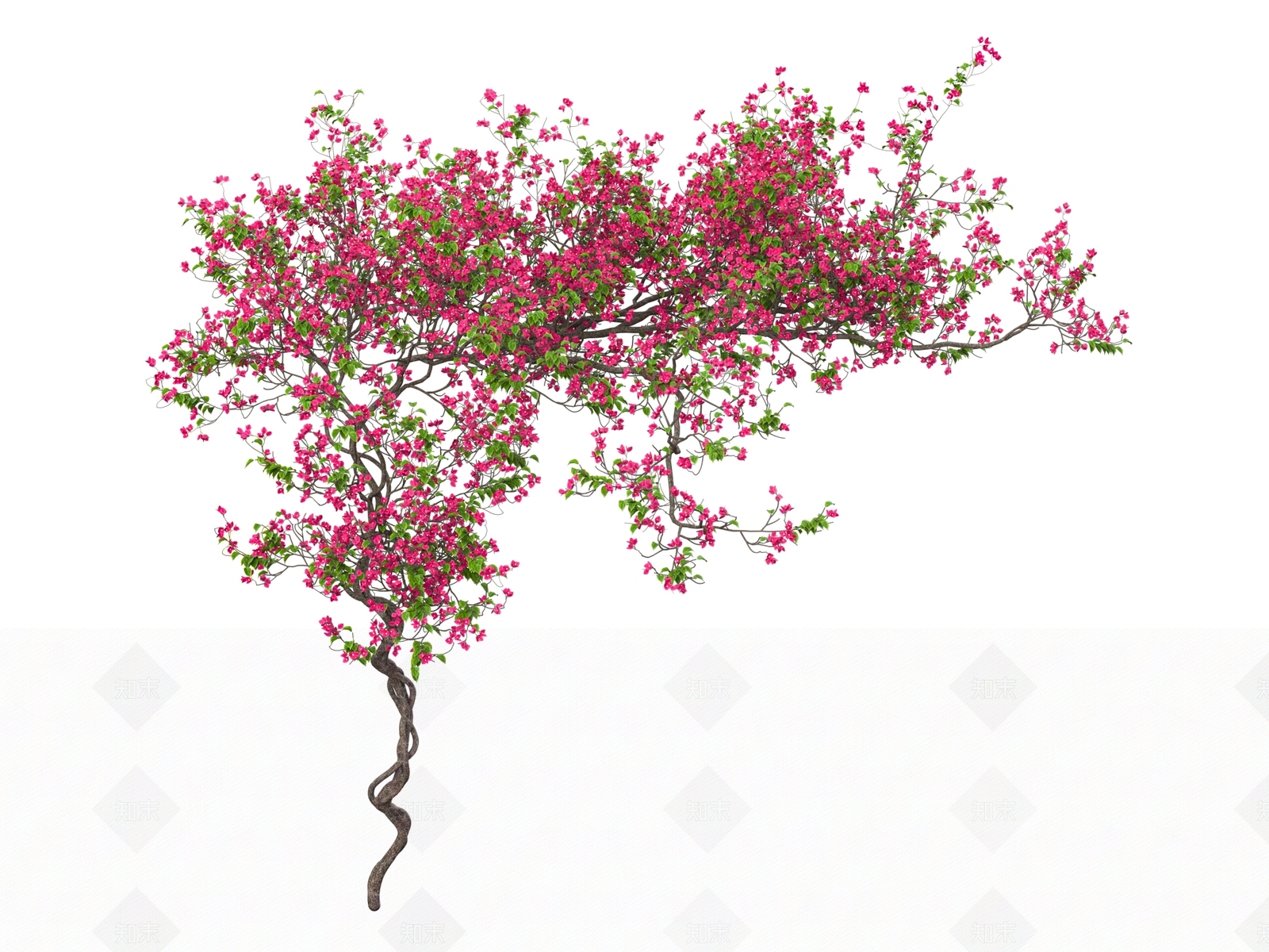 藤蔓3D模型下载【ID:1187160033】