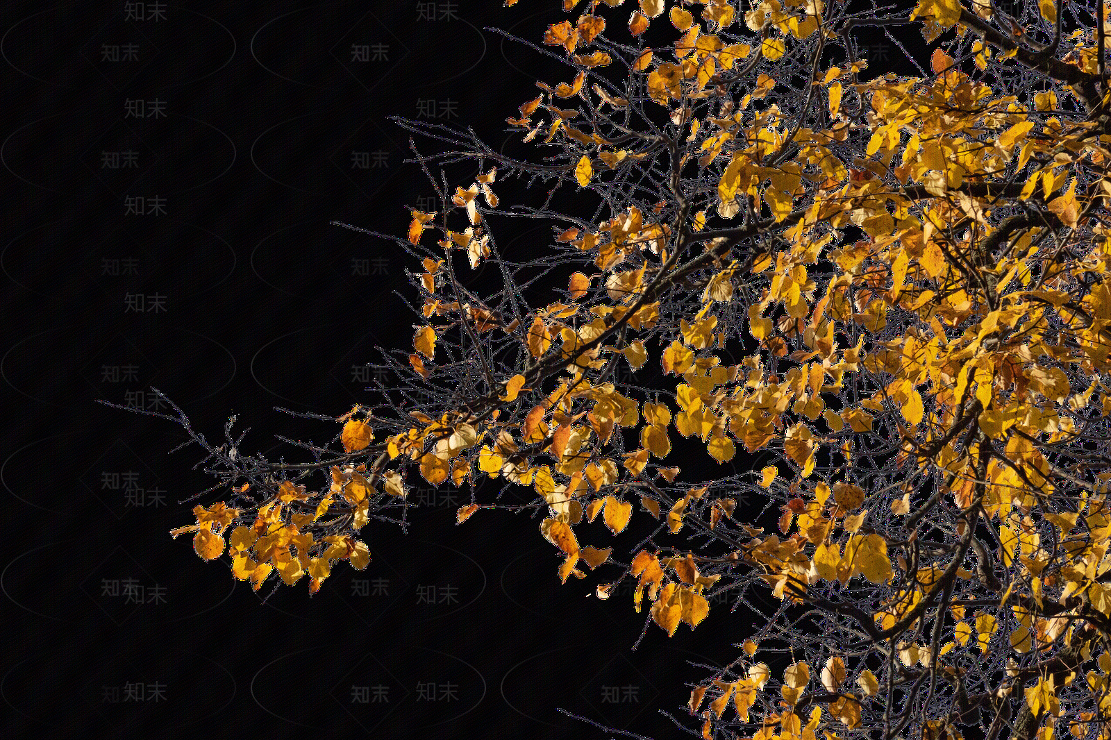 现代其他风景贴图下载【ID:1187162763】