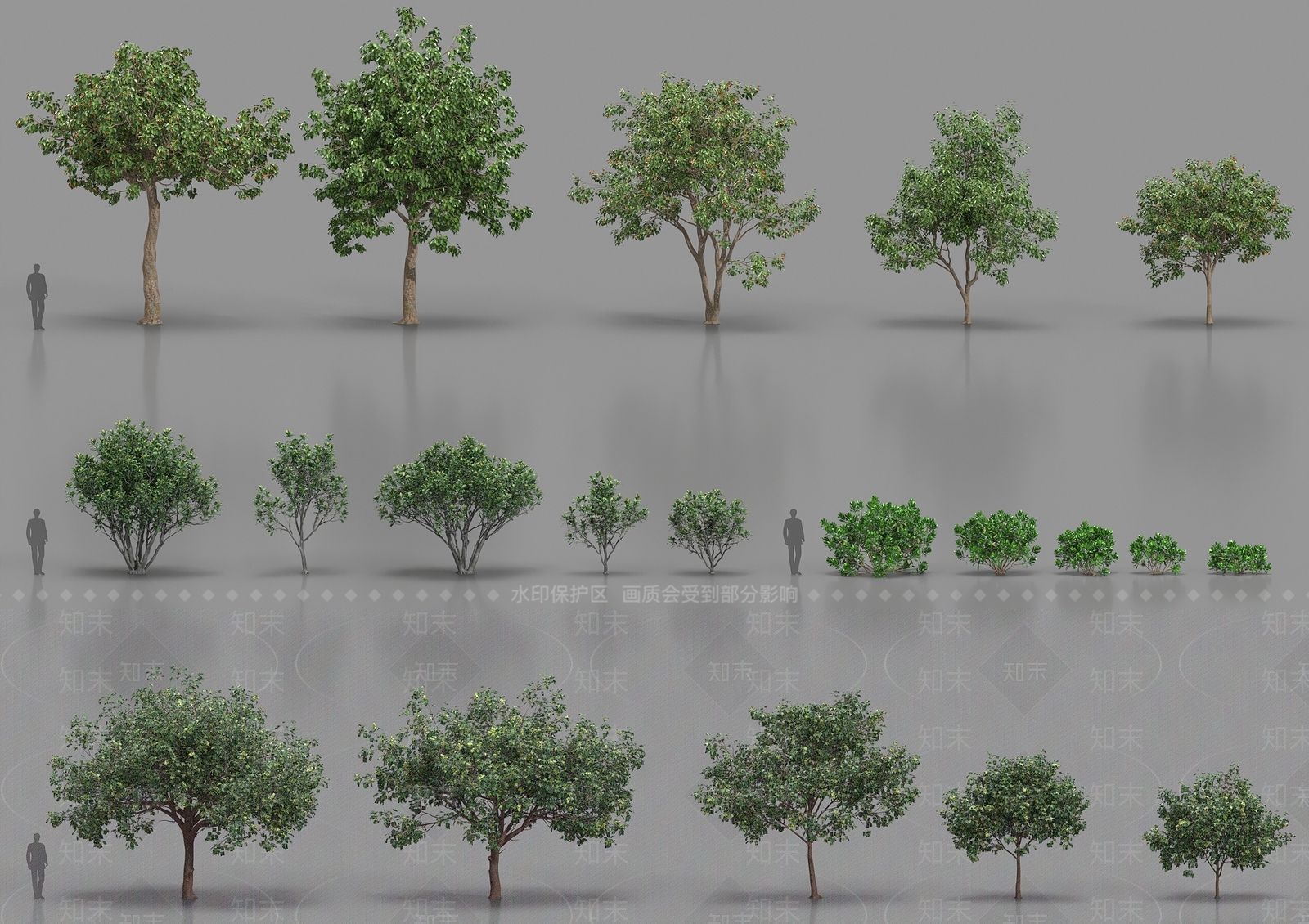 乔木3D模型下载【ID:1187167110】