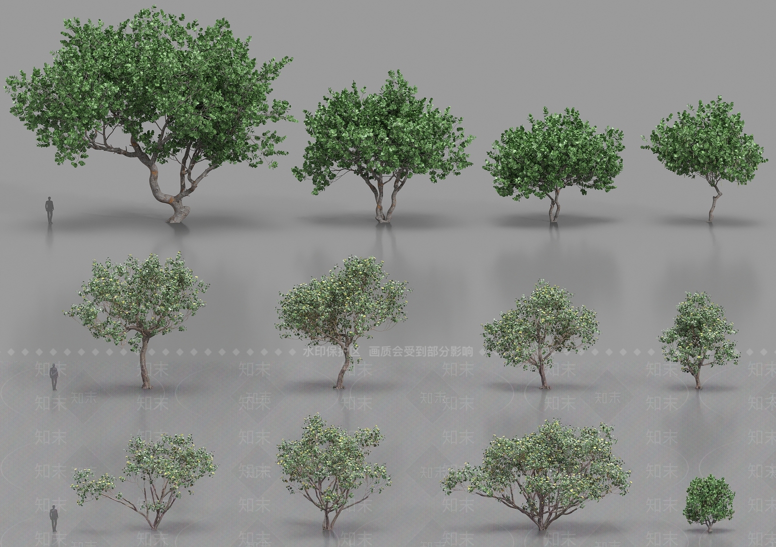 乔木3D模型下载【ID:1187167612】