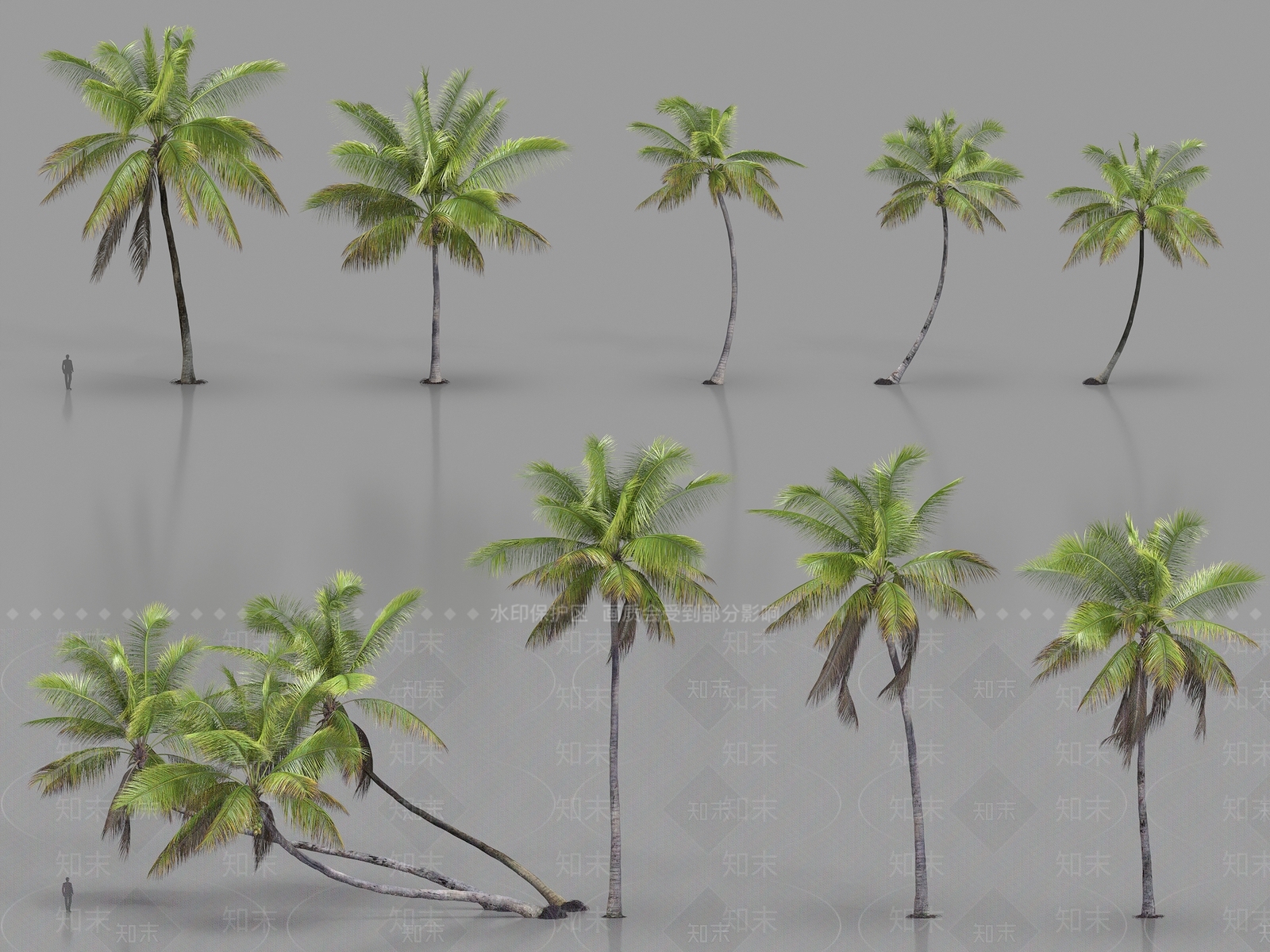 乔木3D模型下载【ID:1187167806】