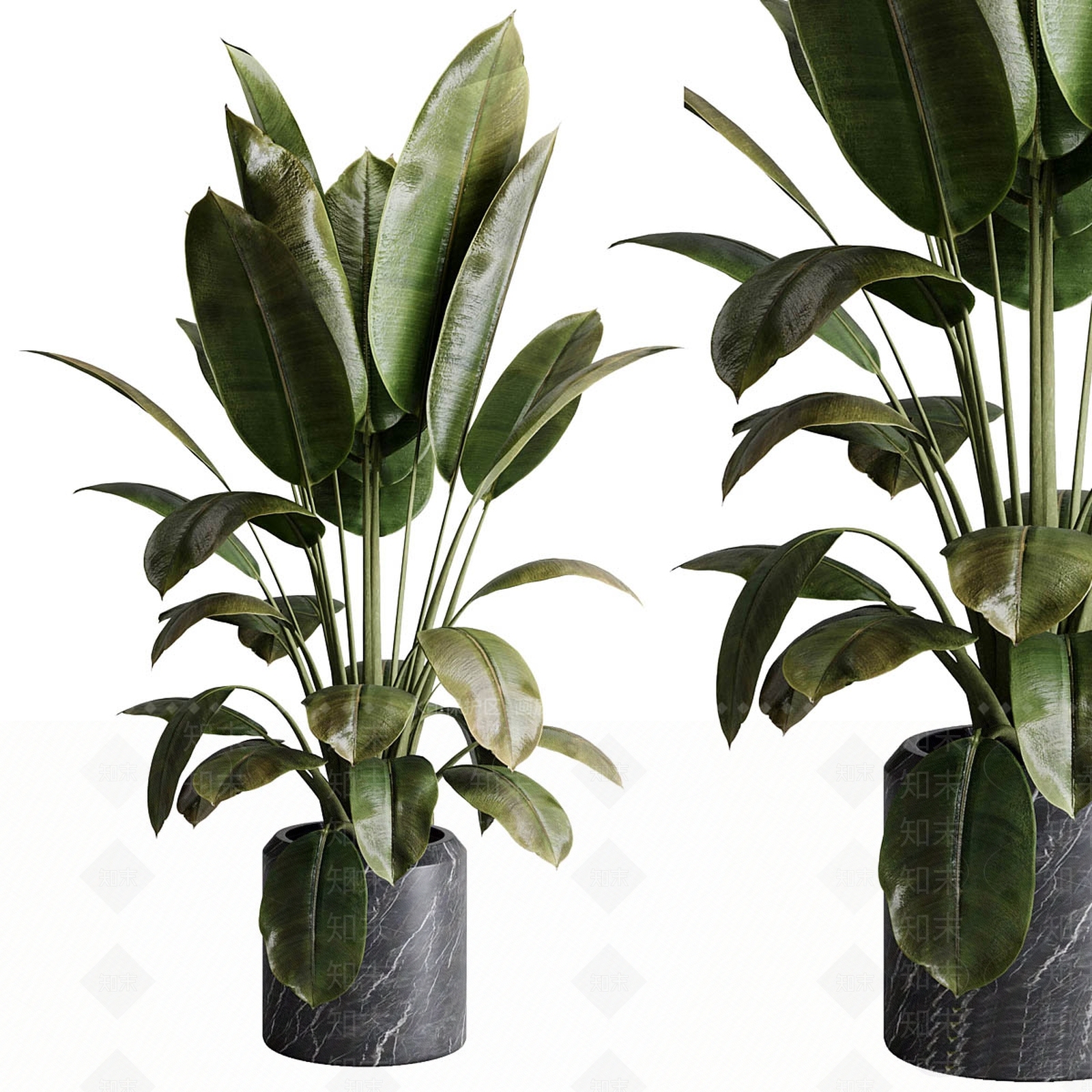 盆栽3D模型下载【ID:1187186462】