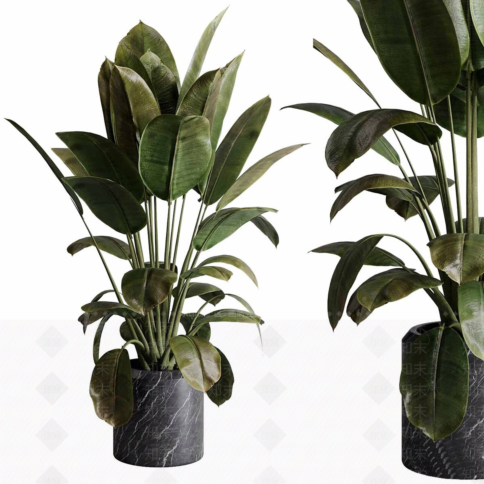 盆栽3D模型下载【ID:1187186462】