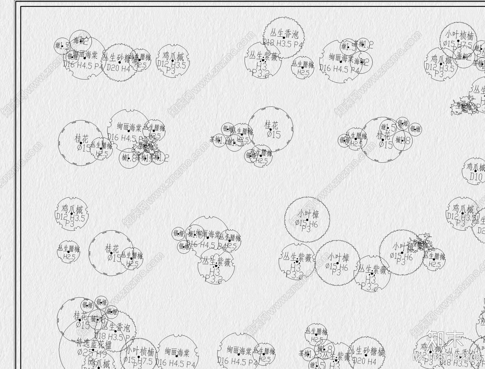 现代植物配置图库cad施工图下载【ID:1187192206】