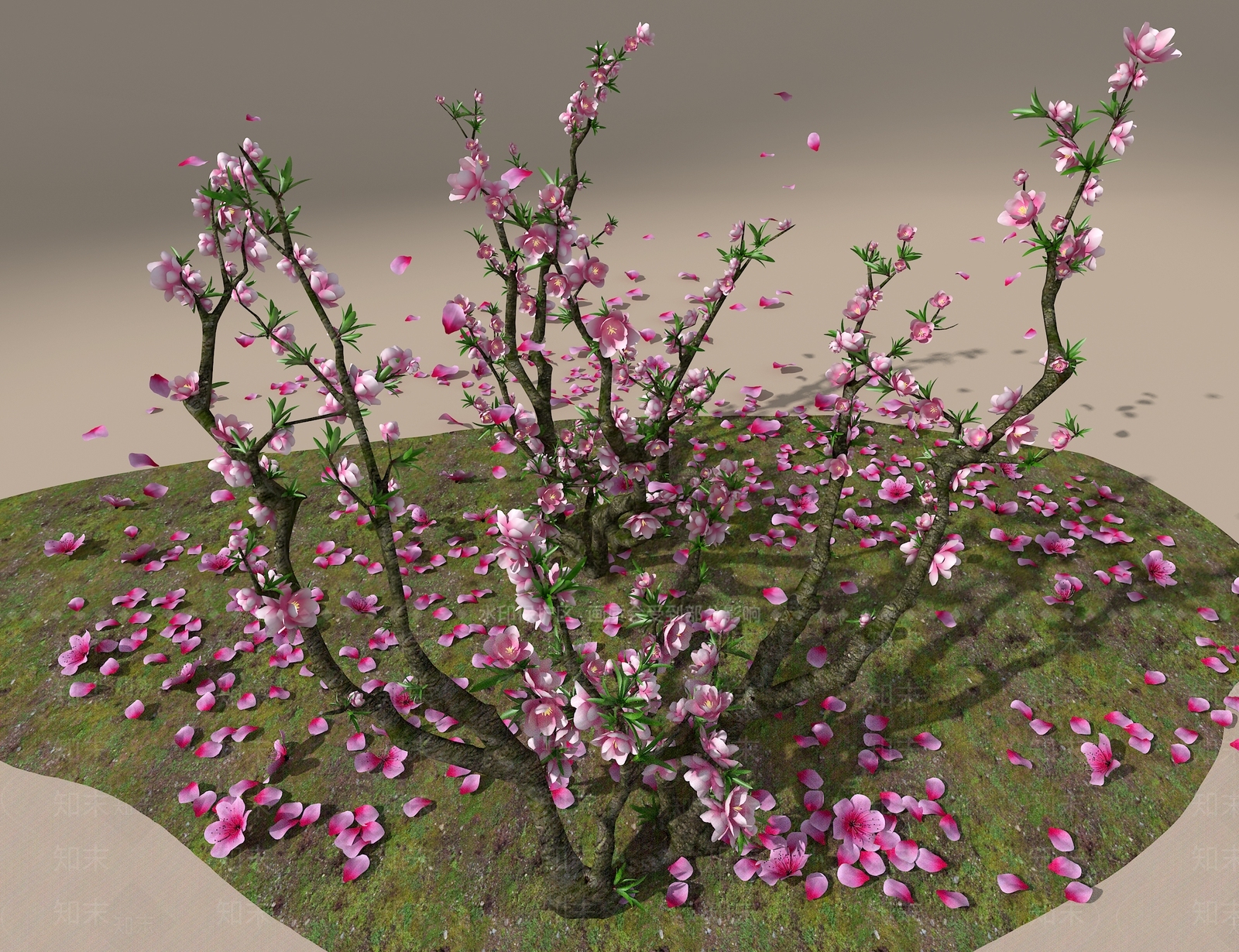 景观树3D模型下载【ID:1187189702】