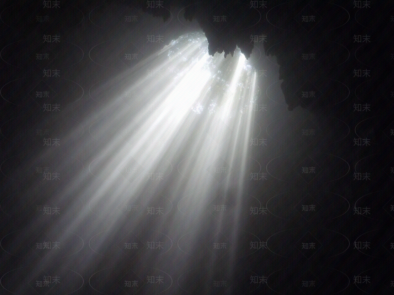 现代剪影贴图下载【ID:1187213473】