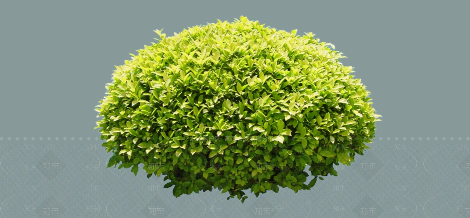 灌木SU模型下载【ID:1187230391】