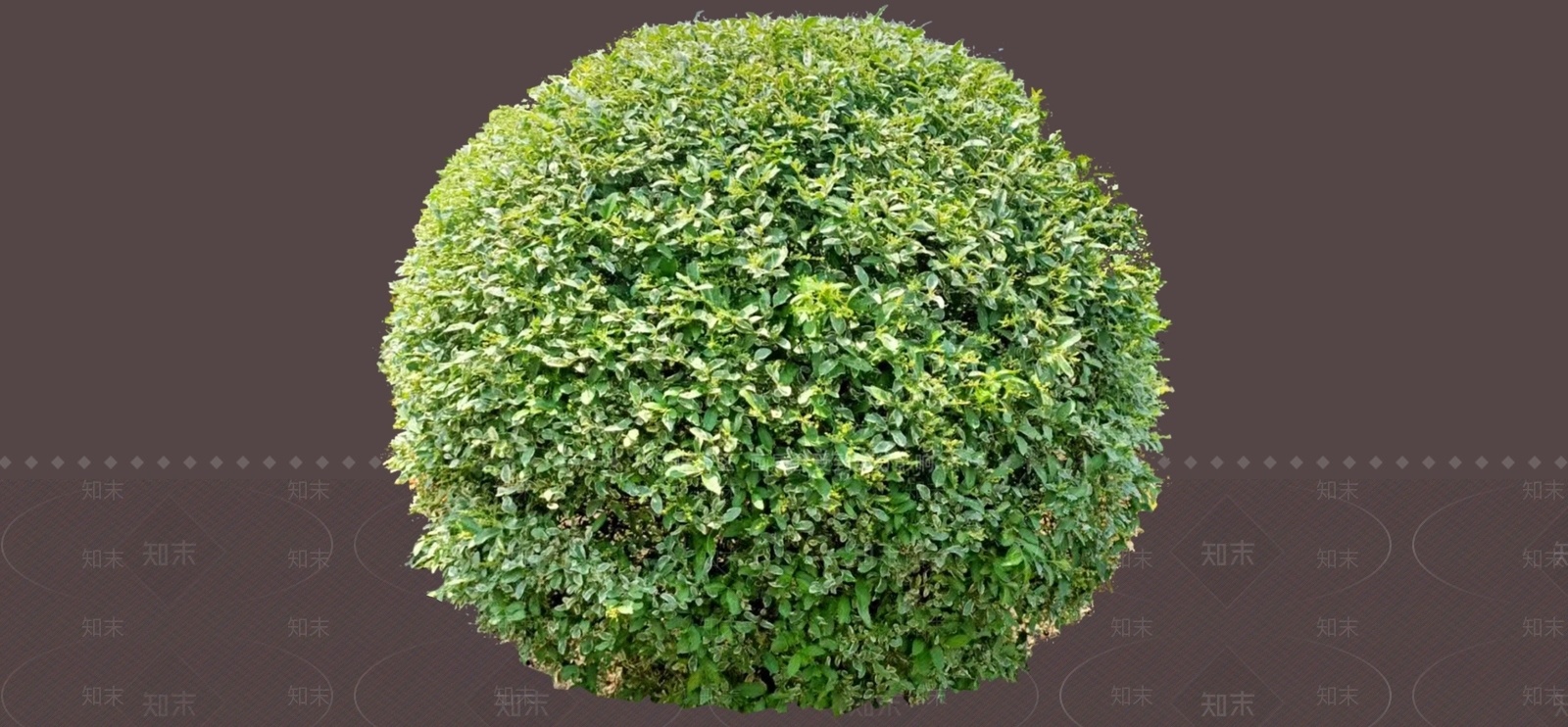 灌木SU模型下载【ID:1187232563】