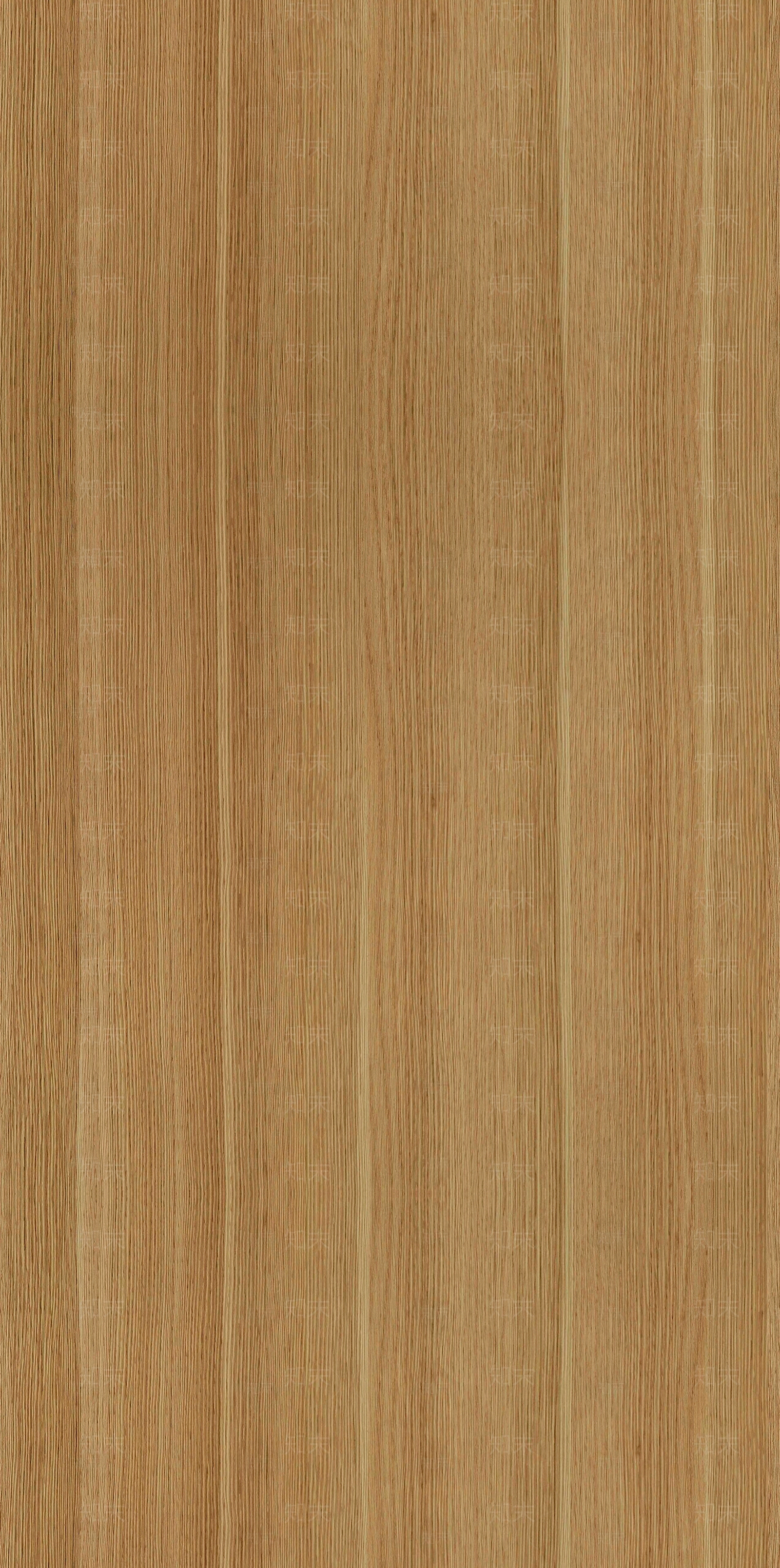 现代极简竹子贴图下载【ID:1187247900】