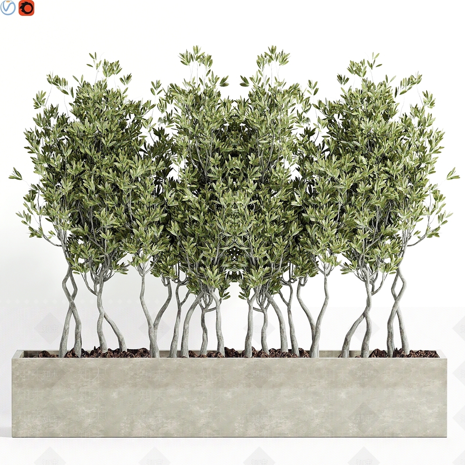 盆栽3D模型下载【ID:1187257445】