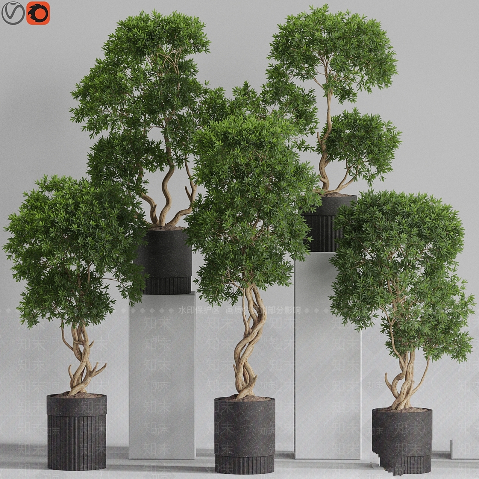 盆栽3D模型下载【ID:1187259858】
