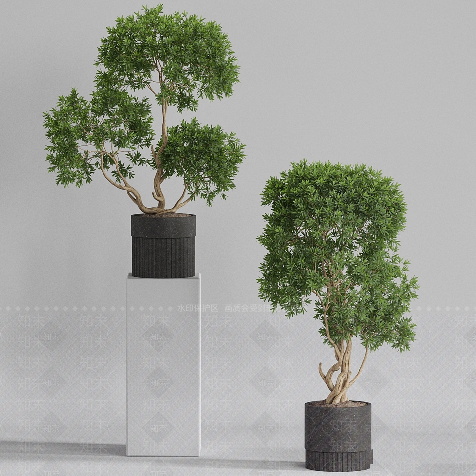 盆栽3D模型下载【ID:1187259858】