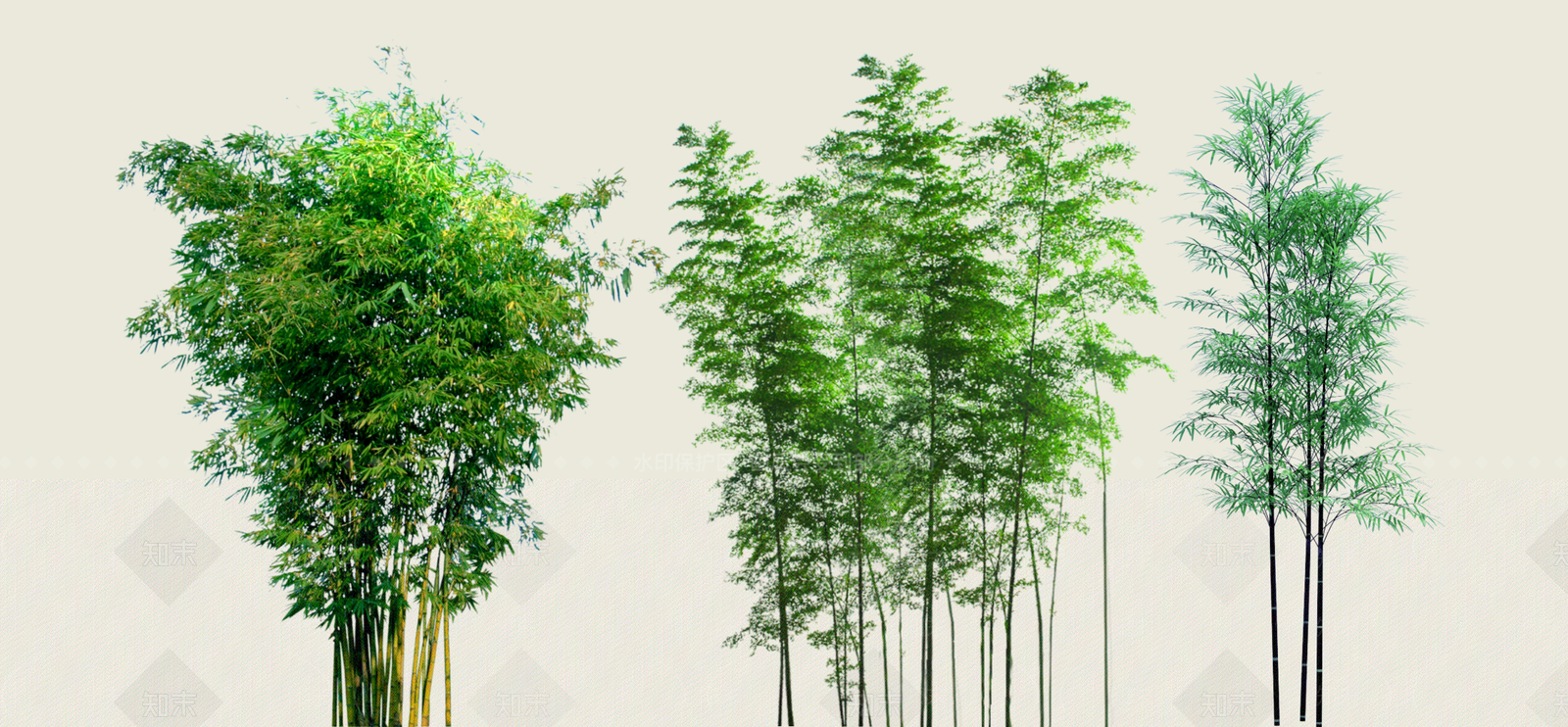 竹子SU模型下载【ID:1187281561】