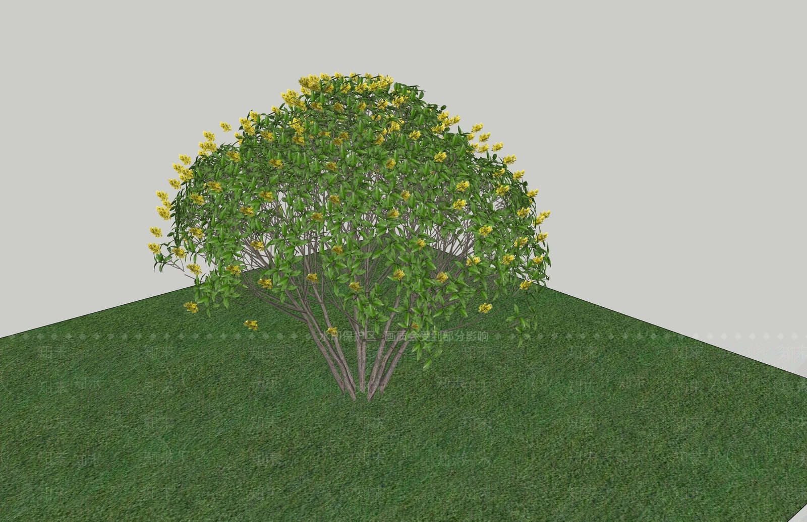 灌木SU模型下载【ID:1187303317】