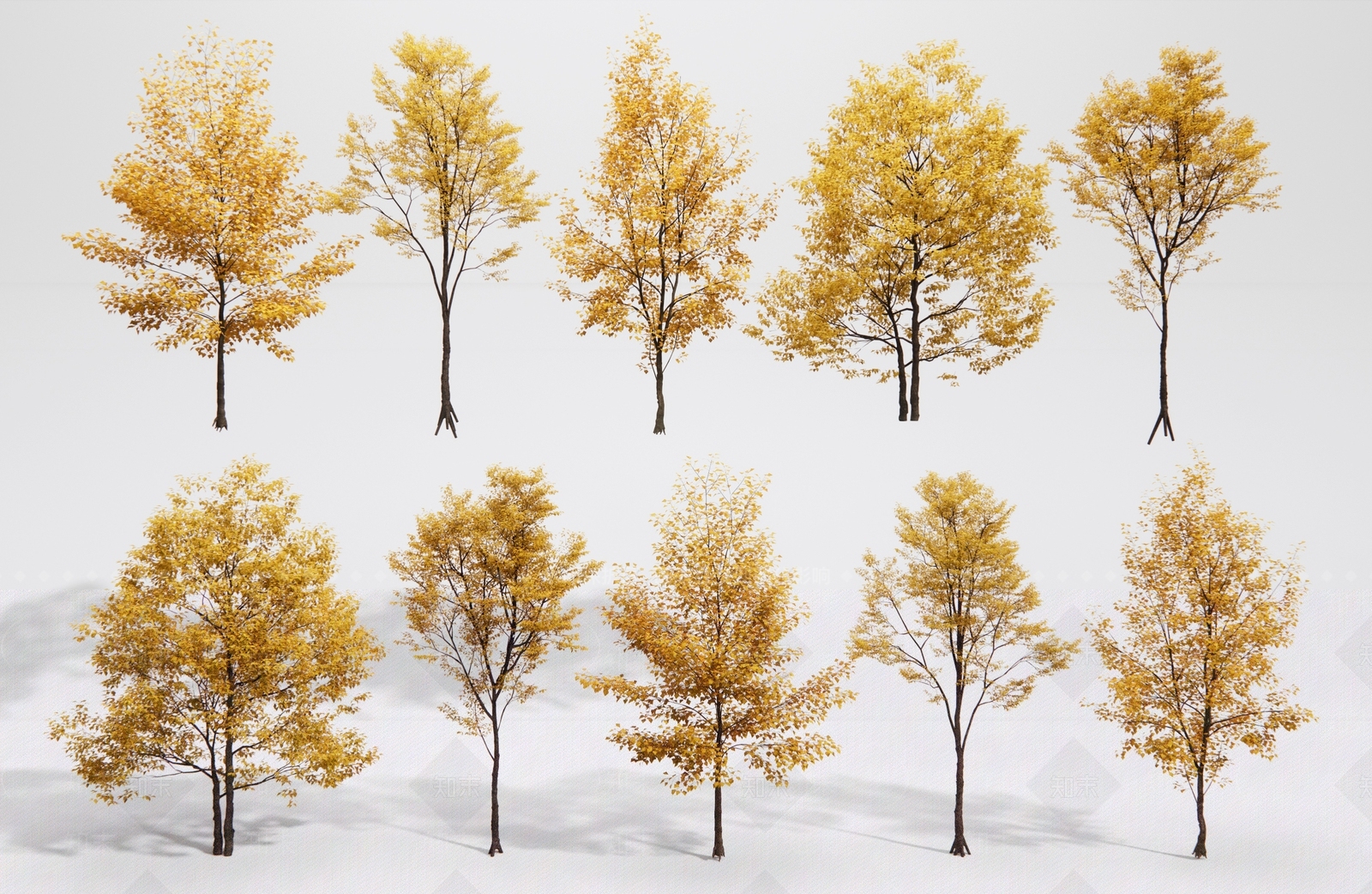 景观树3D模型下载【ID:1187322035】