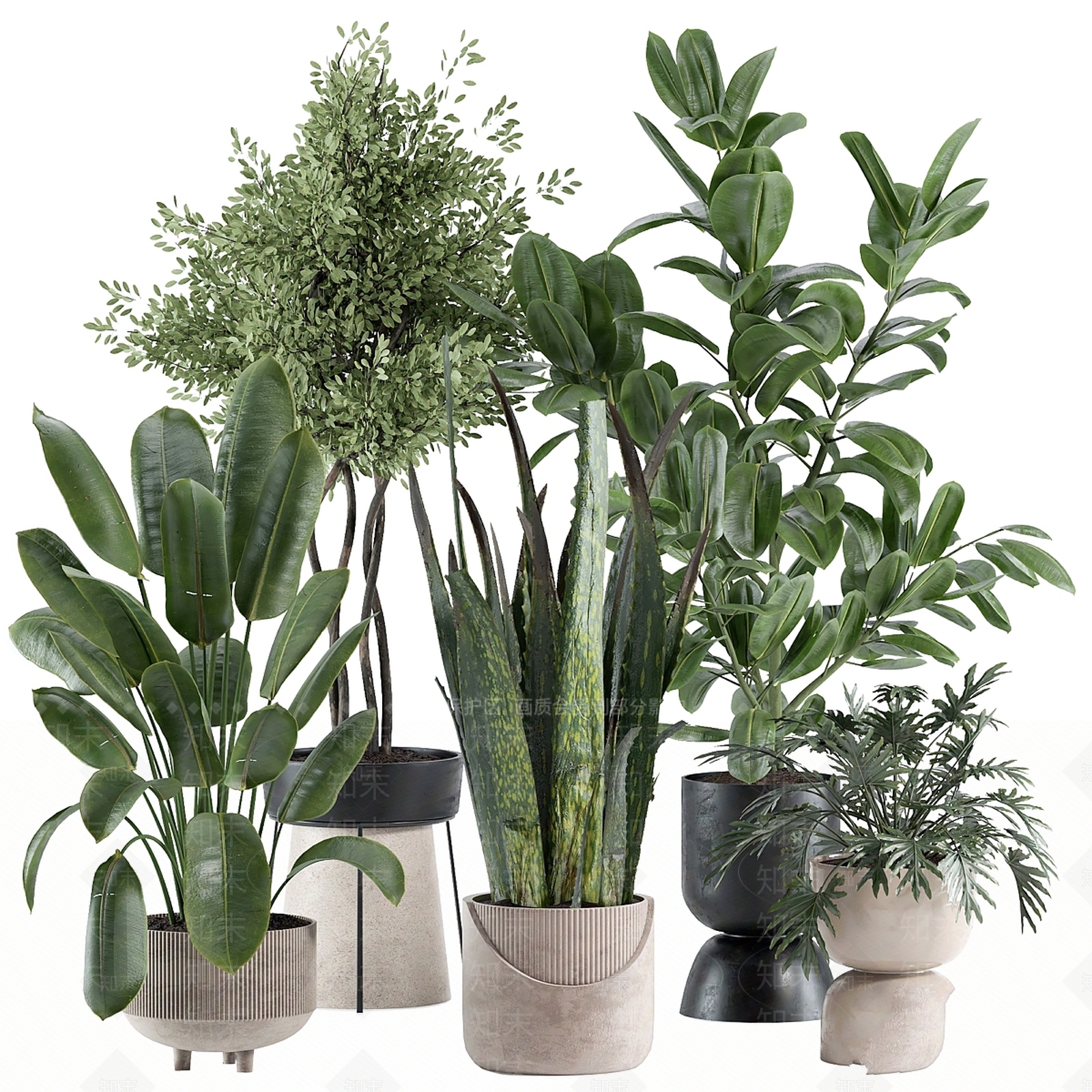 盆栽3D模型下载【ID:1187344477】