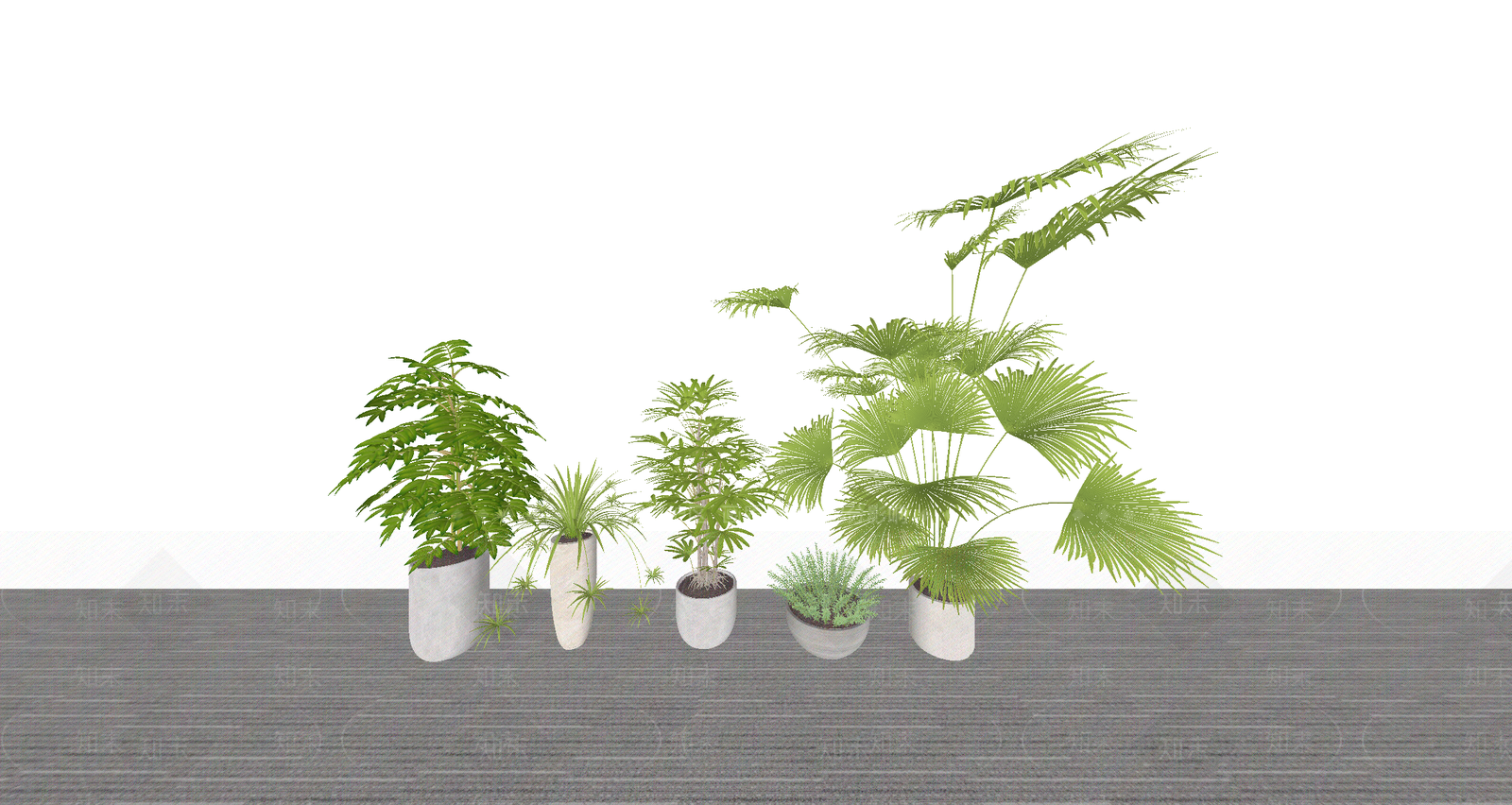盆栽SU模型下载【ID:1187362297】