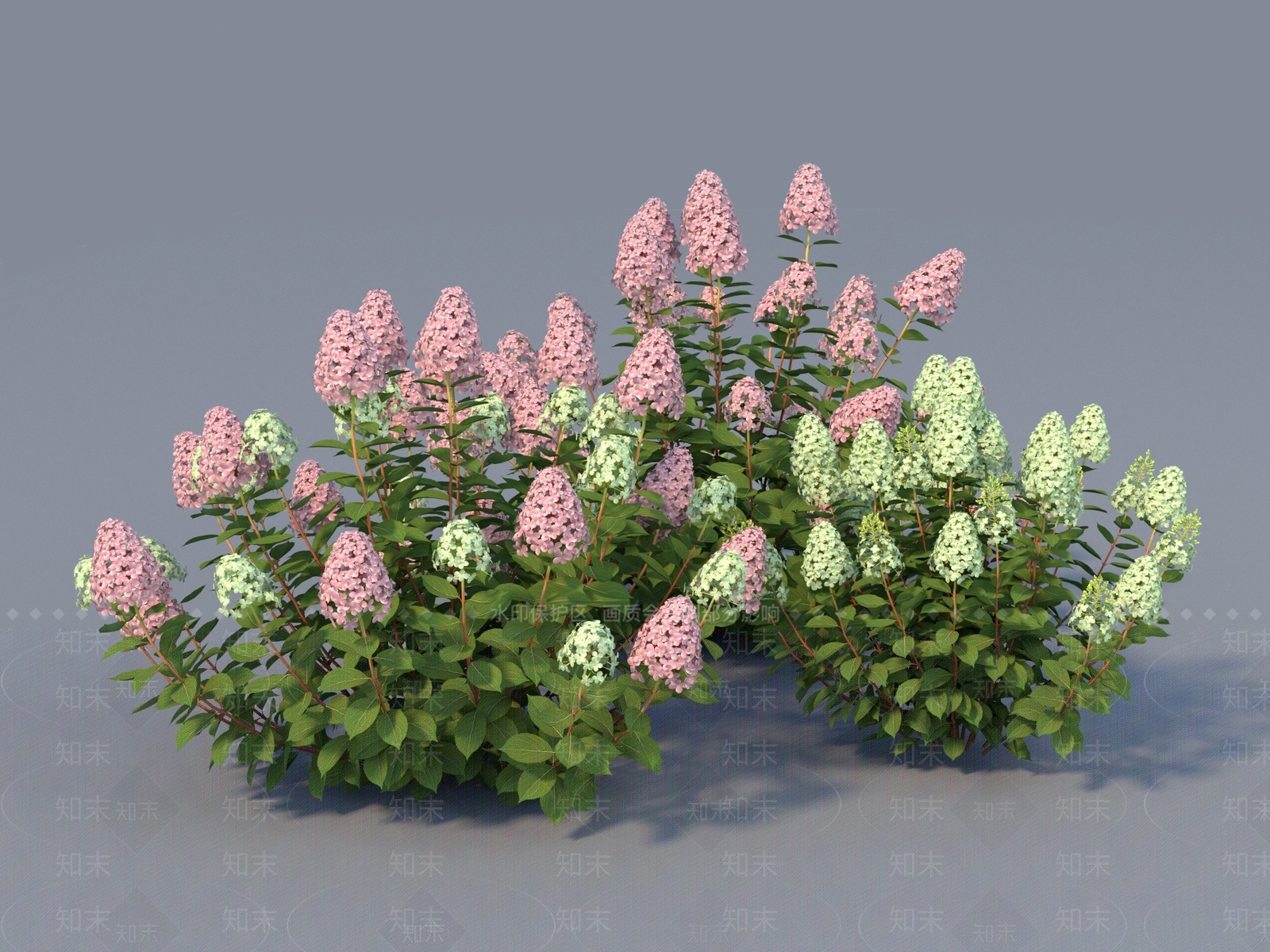 花草SU模型下载【ID:1187375982】