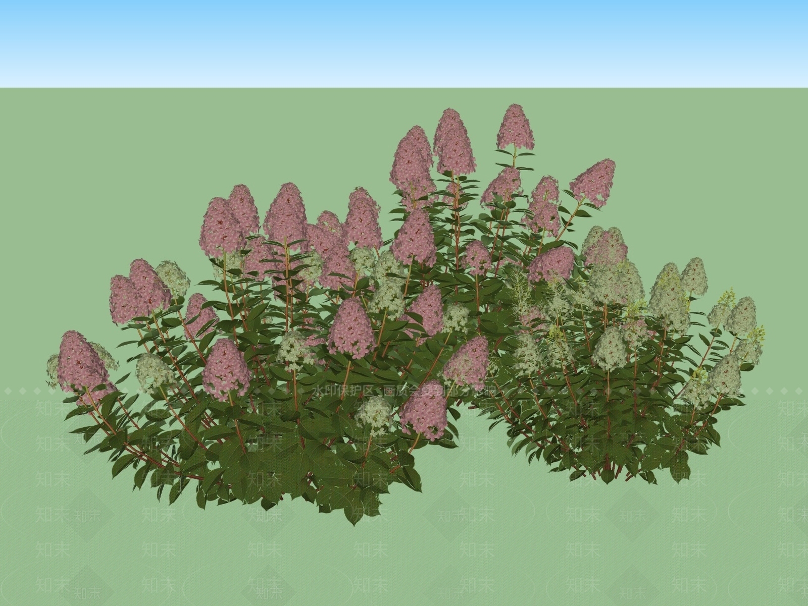 花草SU模型下载【ID:1187375982】