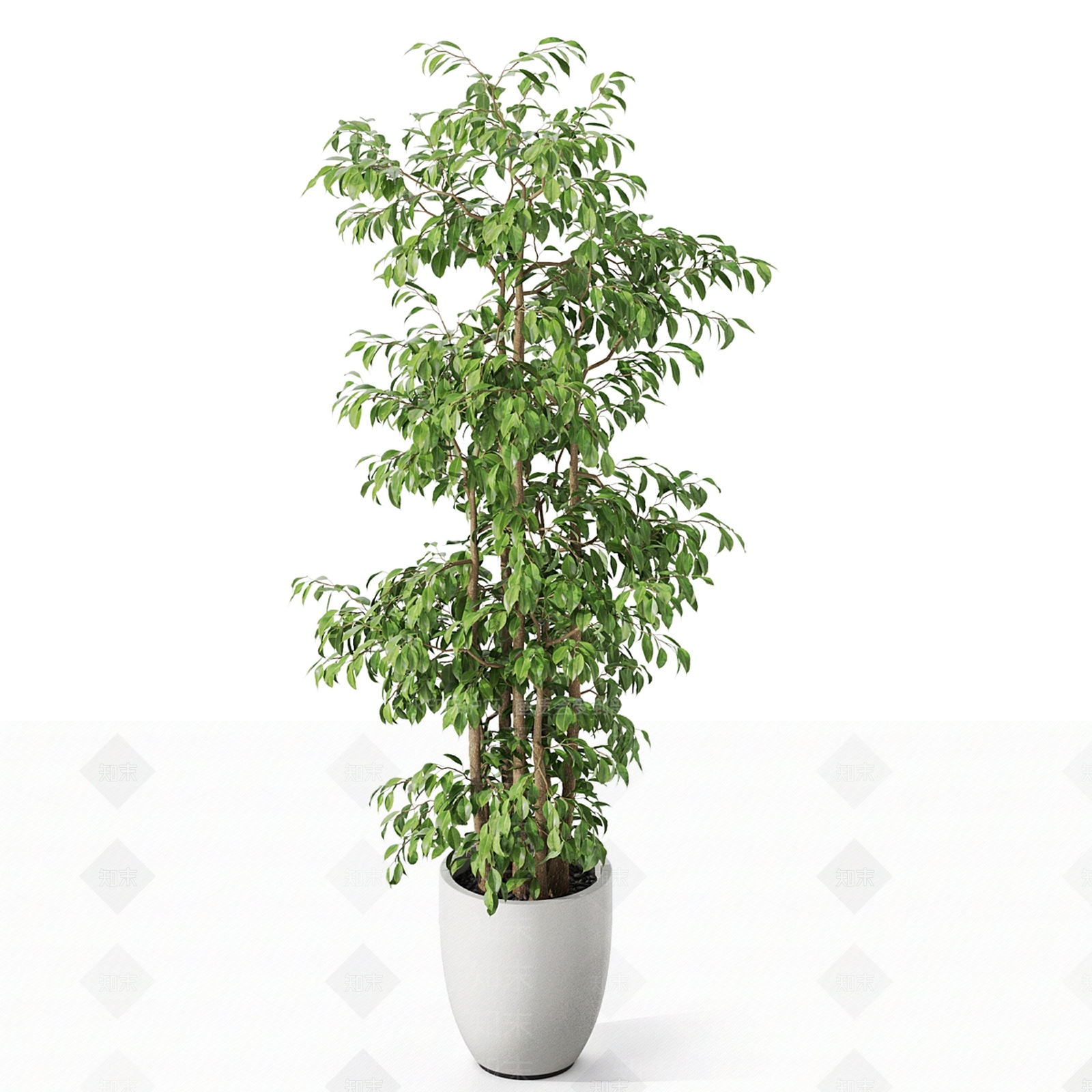 盆栽3D模型下载【ID:1187380968】