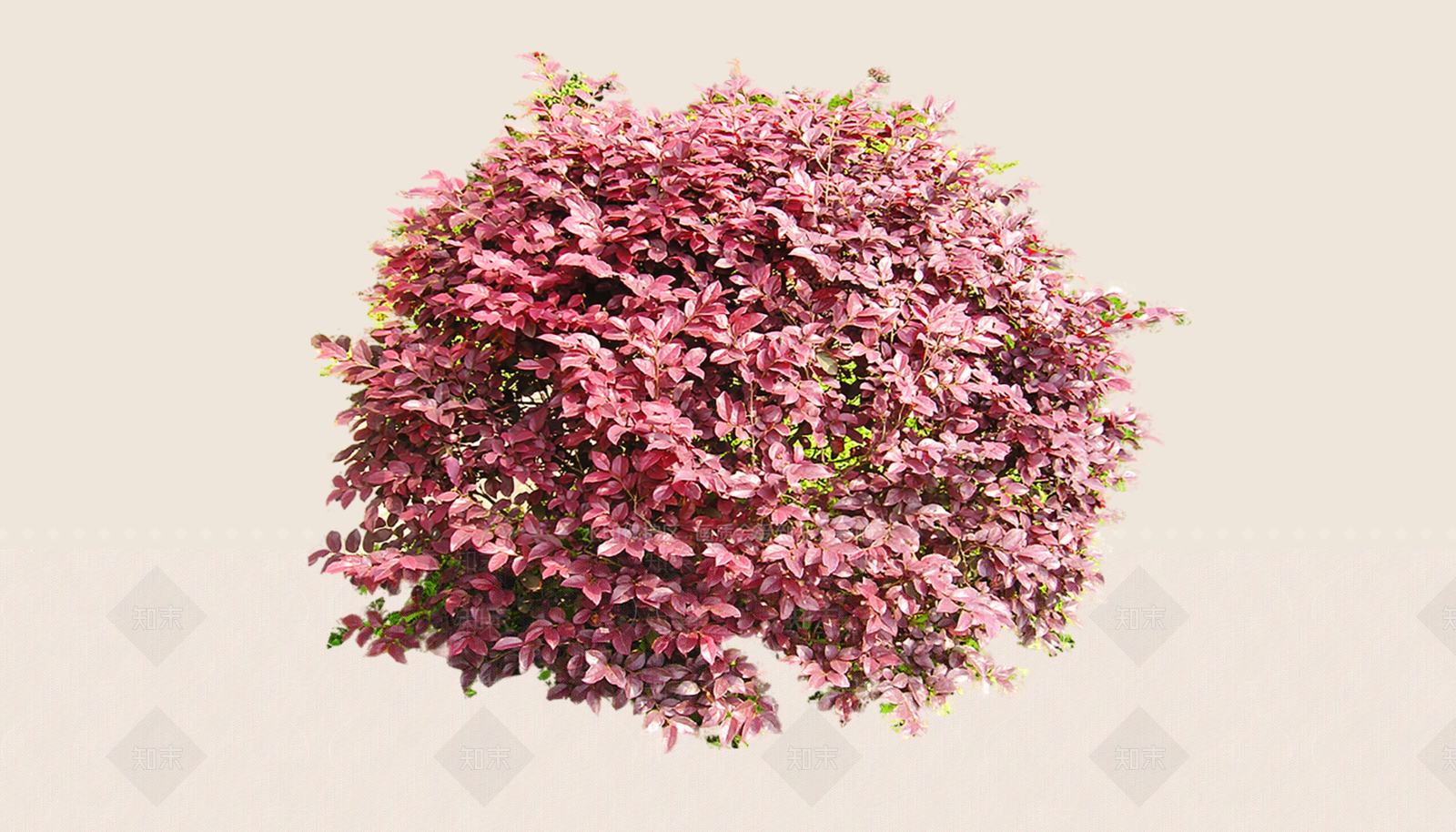 灌木SU模型下载【ID:1187413406】