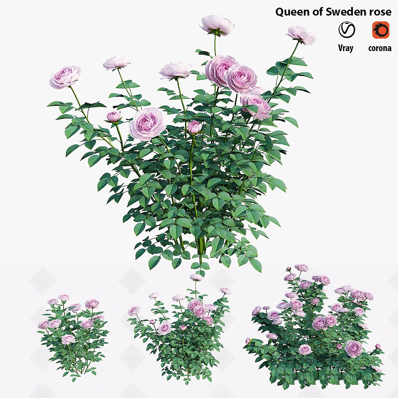 灌木3D模型下载【ID:1187460631】