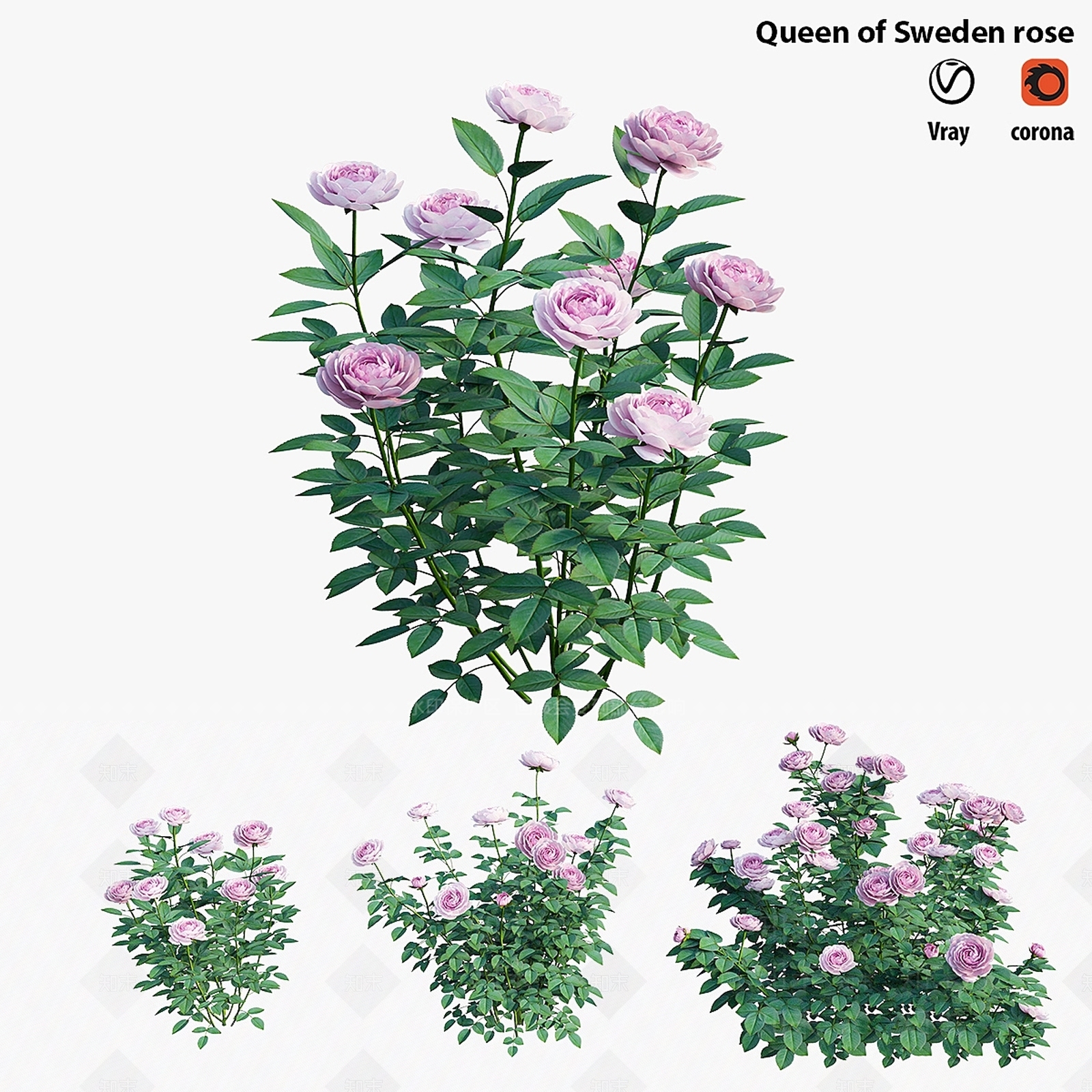 灌木3D模型下载【ID:1187460631】