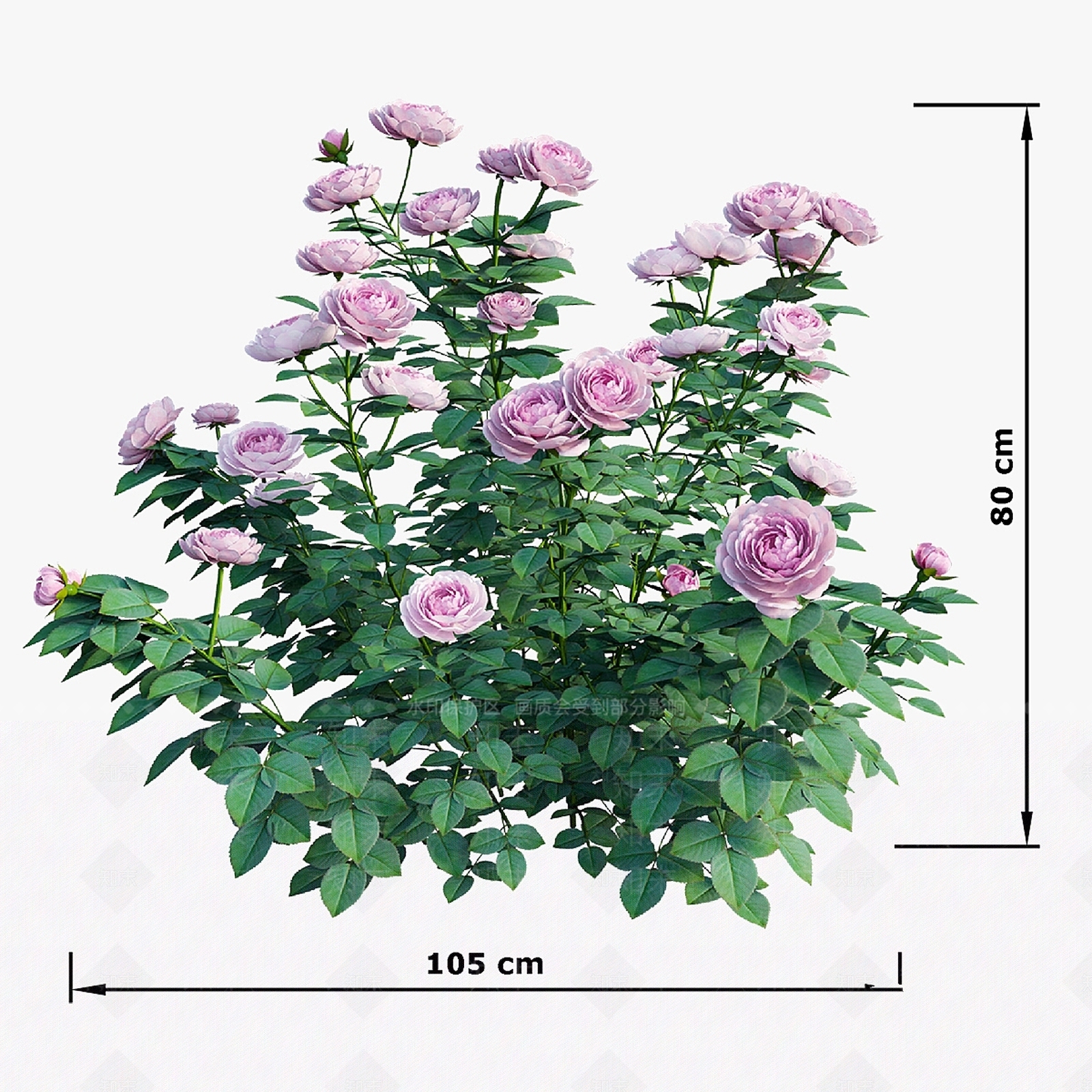 灌木3D模型下载【ID:1187460631】