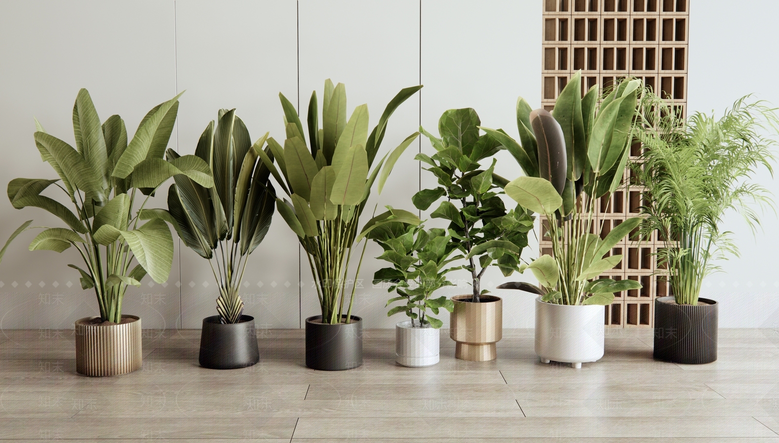 盆栽SU模型下载【ID:1187472246】