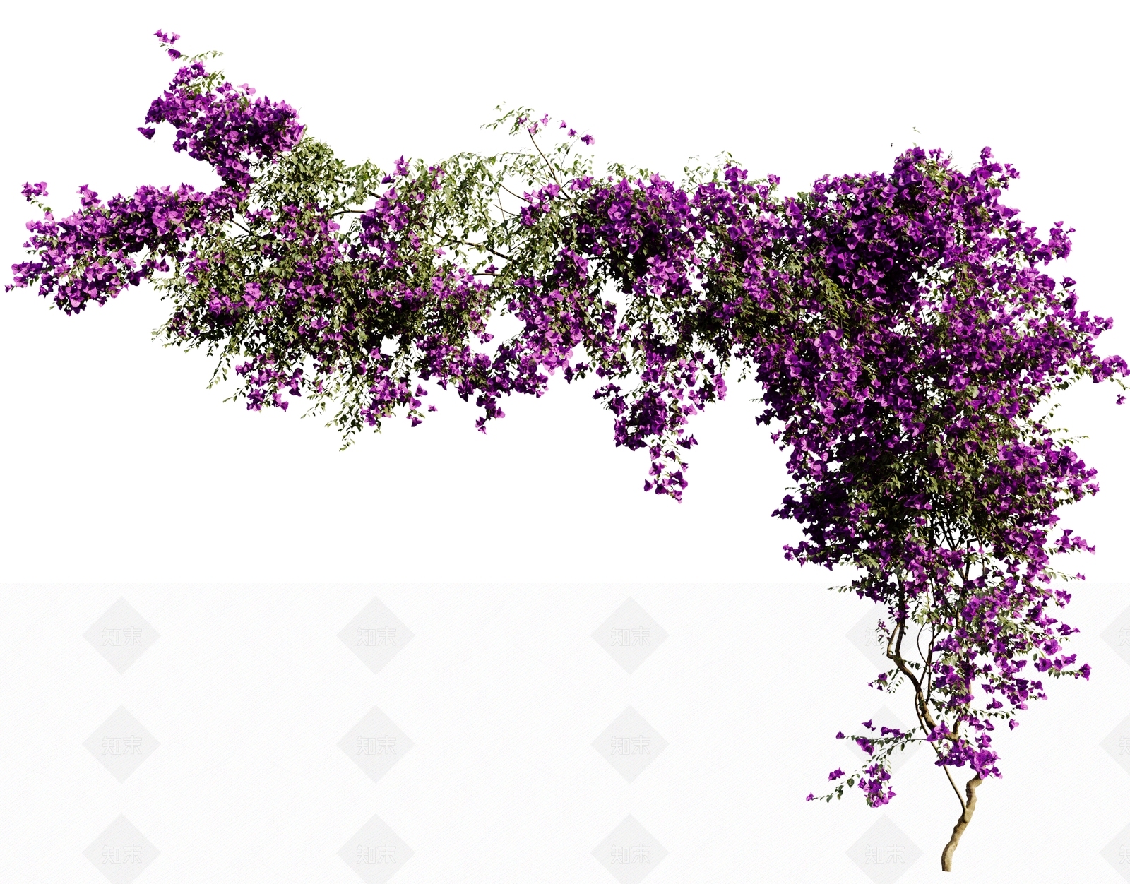 藤蔓3D模型下载【ID:1187485076】