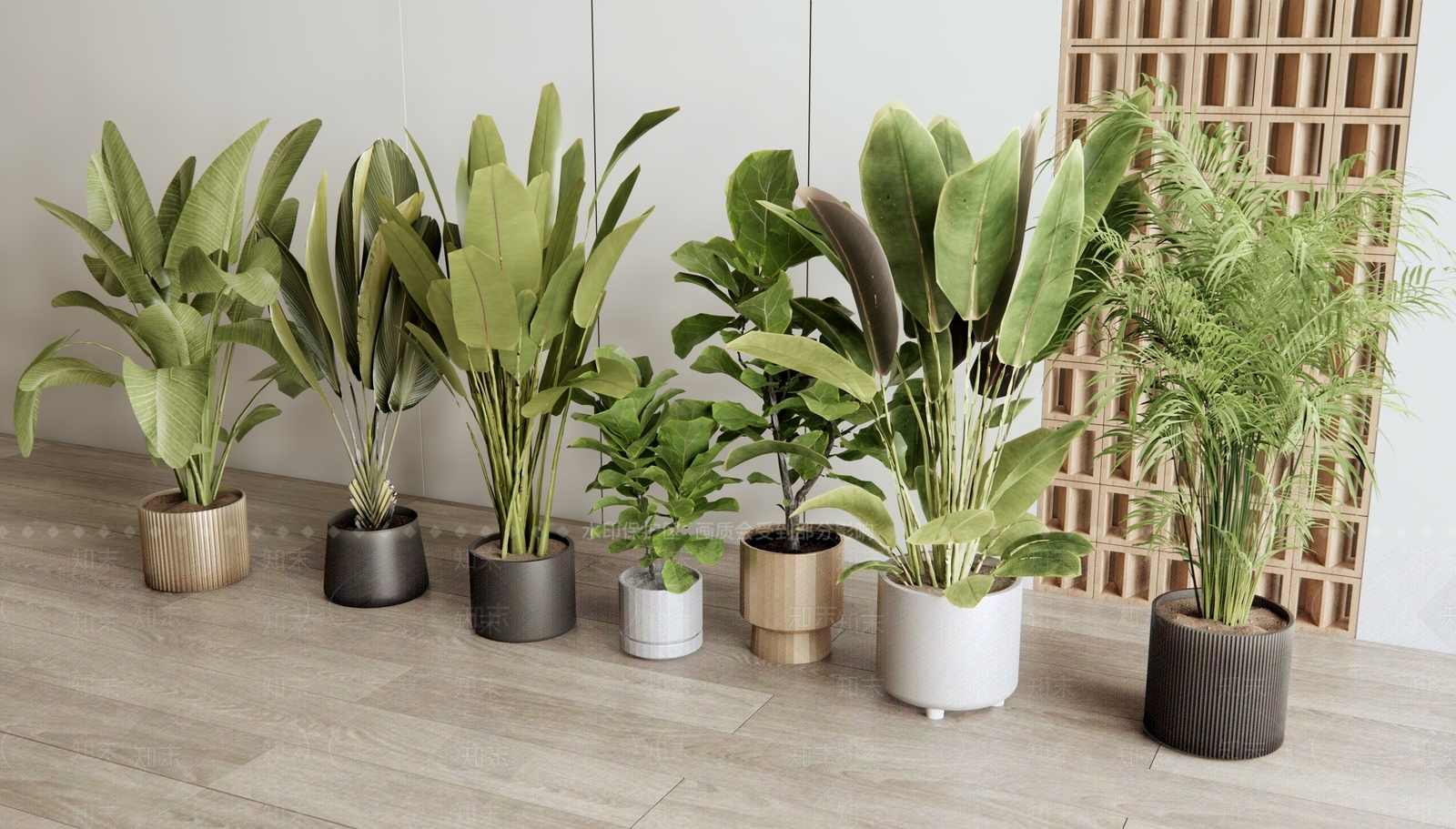 盆栽SU模型下载【ID:1187502687】