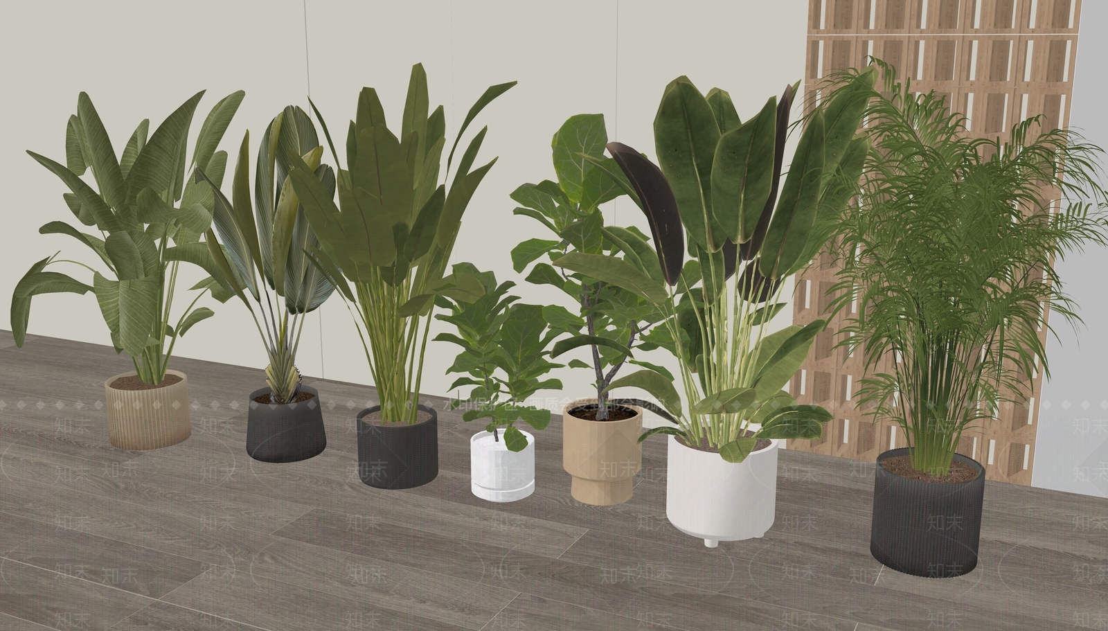 盆栽SU模型下载【ID:1187502687】